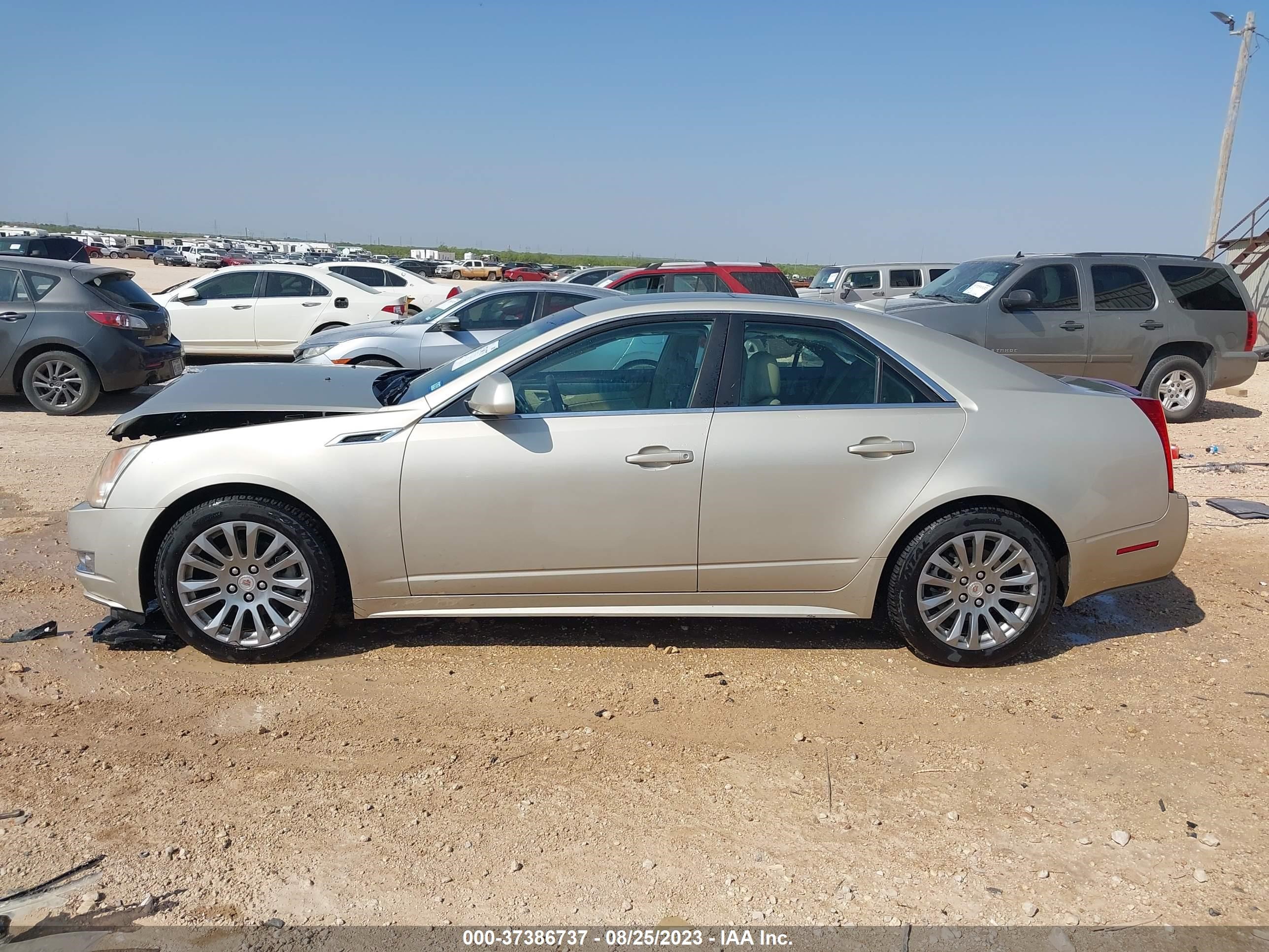 Photo 13 VIN: 1G6DK5E37D0163619 - CADILLAC CTS 