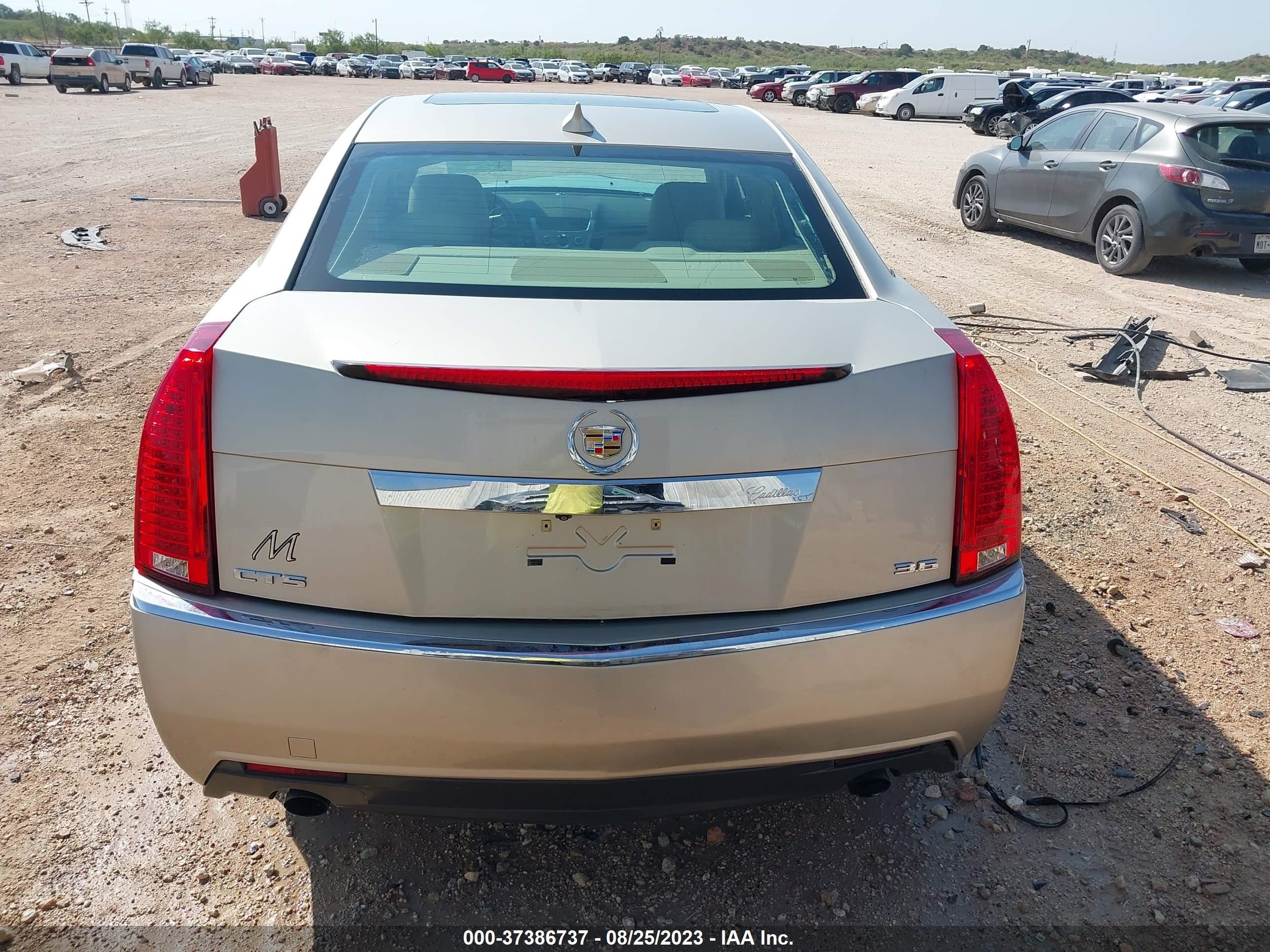 Photo 15 VIN: 1G6DK5E37D0163619 - CADILLAC CTS 