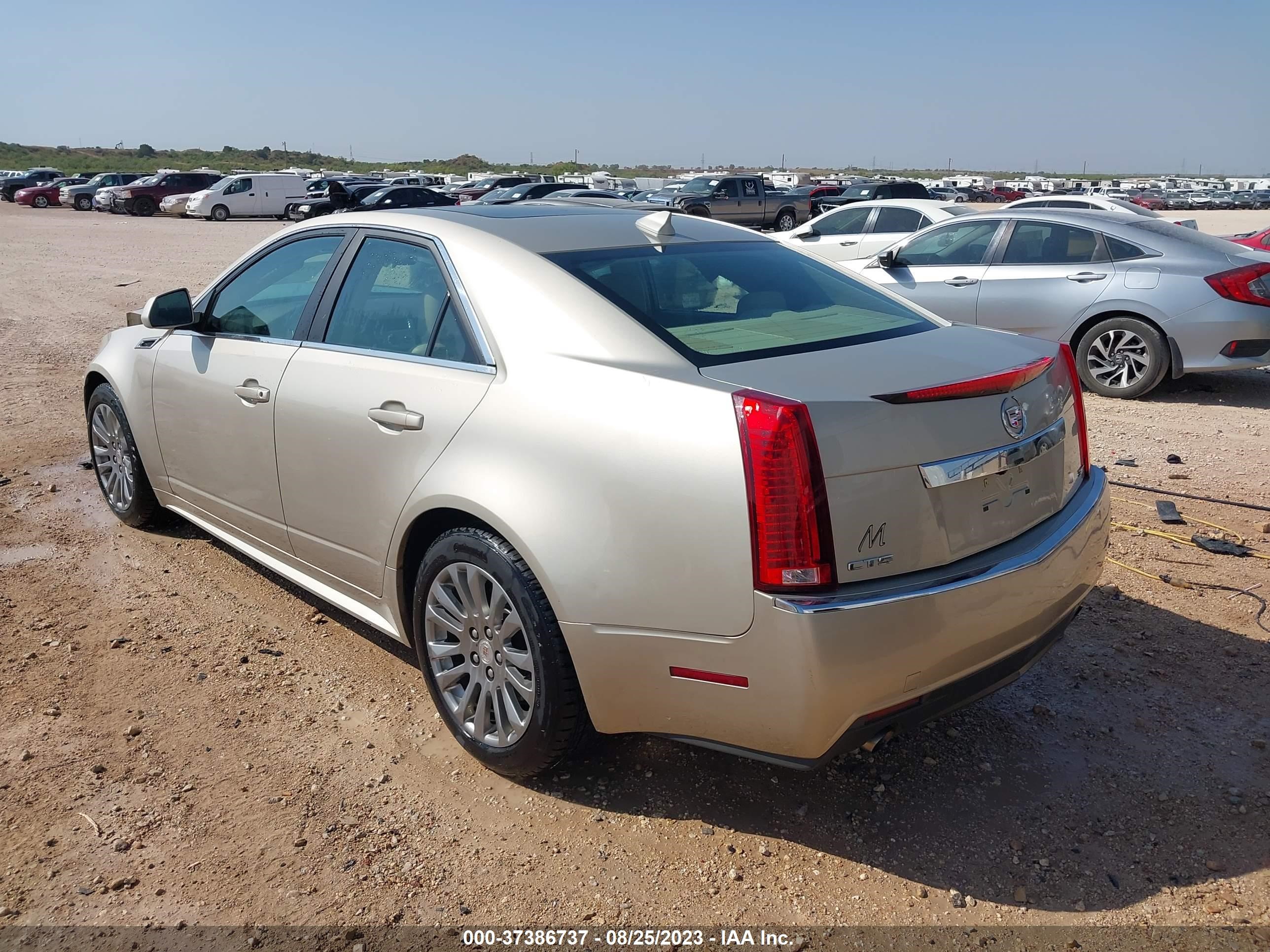 Photo 2 VIN: 1G6DK5E37D0163619 - CADILLAC CTS 