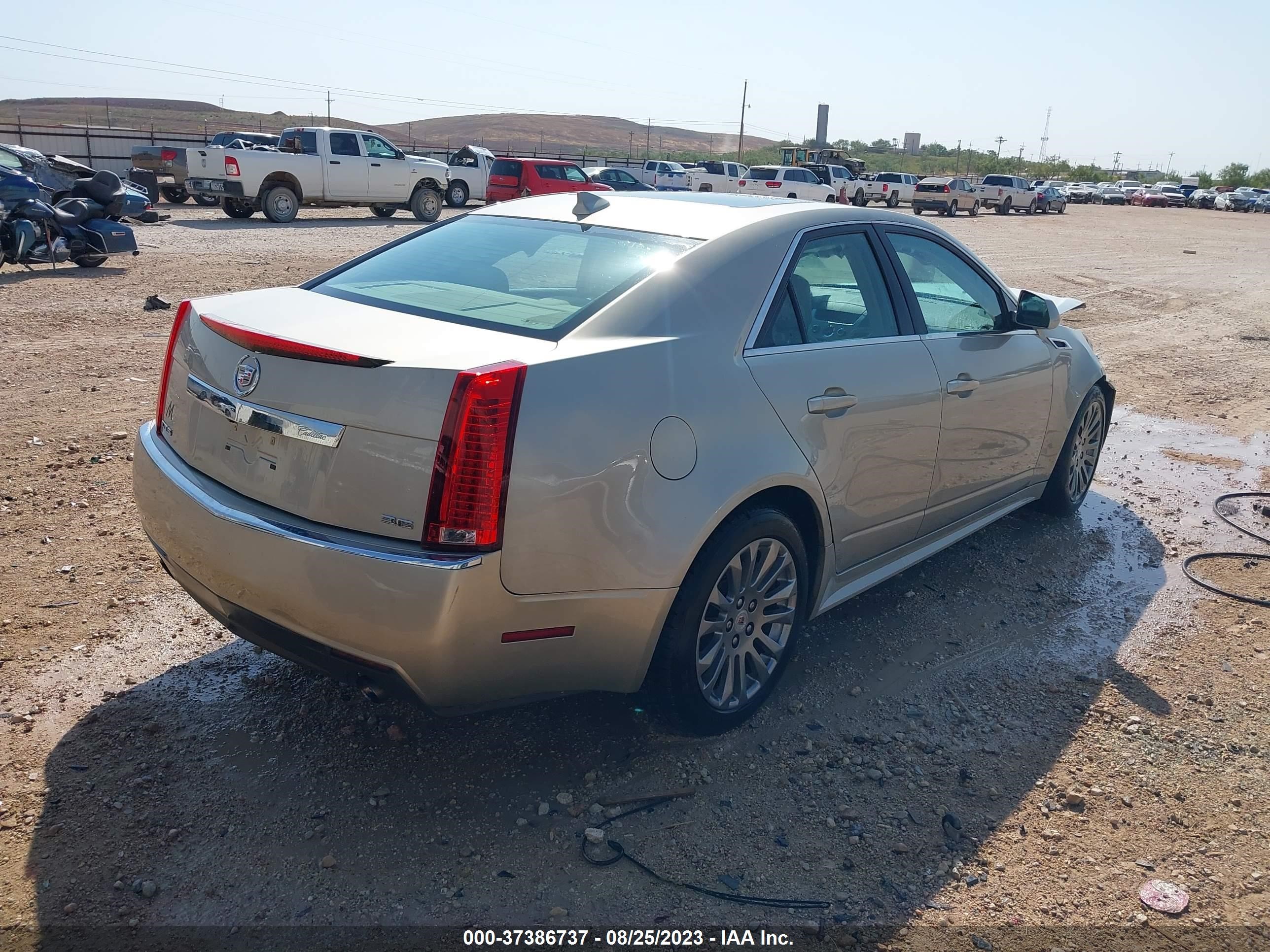 Photo 3 VIN: 1G6DK5E37D0163619 - CADILLAC CTS 