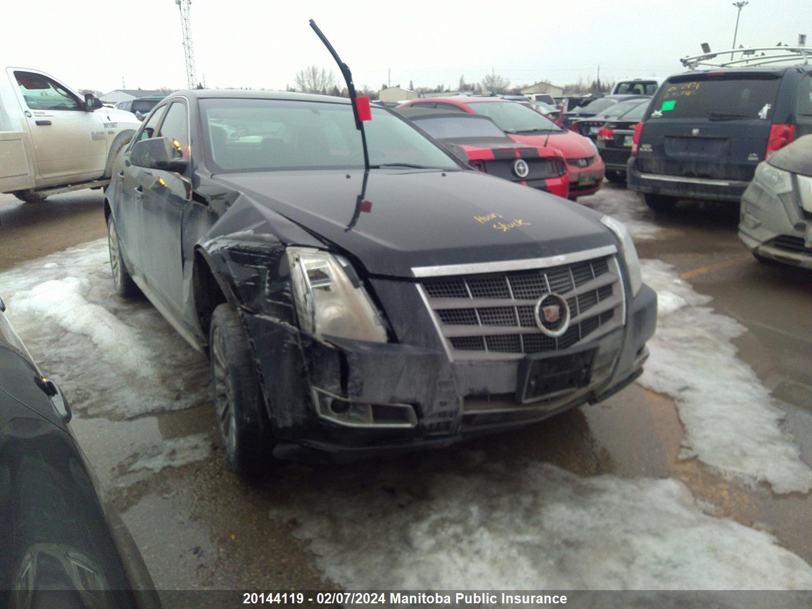 Photo 5 VIN: 1G6DL5ED1B0104391 - CADILLAC CTS 