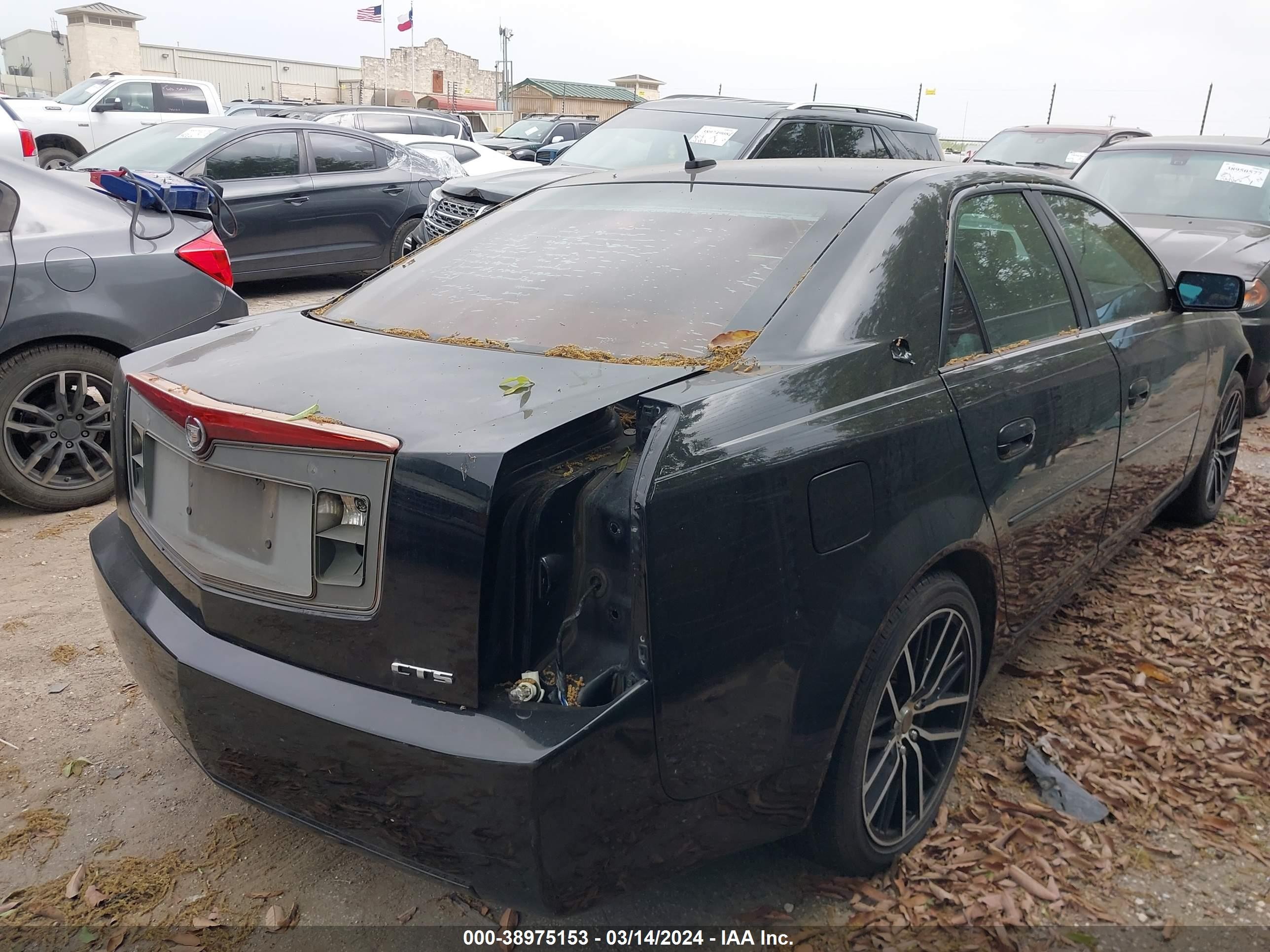 Photo 3 VIN: 1G6DM57T660108282 - CADILLAC CTS 