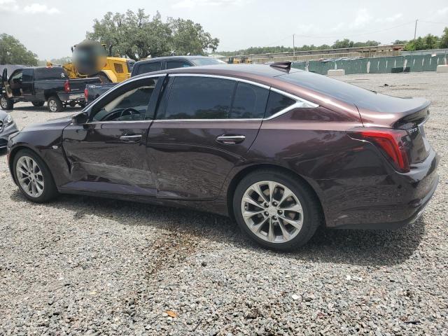 Photo 1 VIN: 1G6DN5RK8L0151096 - CADILLAC CT5 PREMIU 