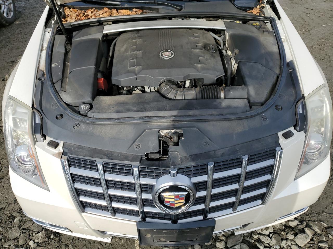 Photo 10 VIN: 1G6DP5E34C0122851 - CADILLAC CTS 