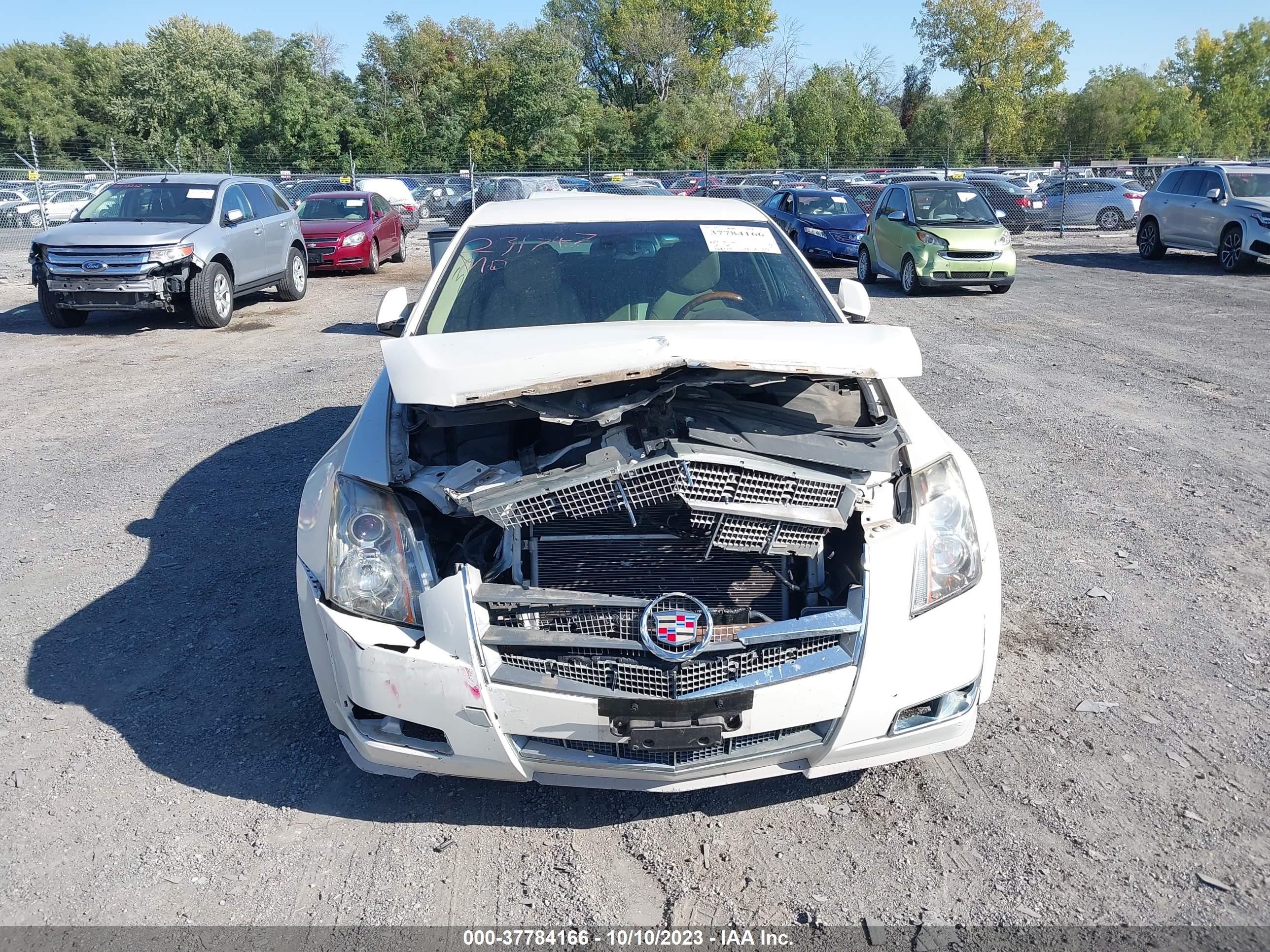 Photo 11 VIN: 1G6DS57V790147250 - CADILLAC CTS 