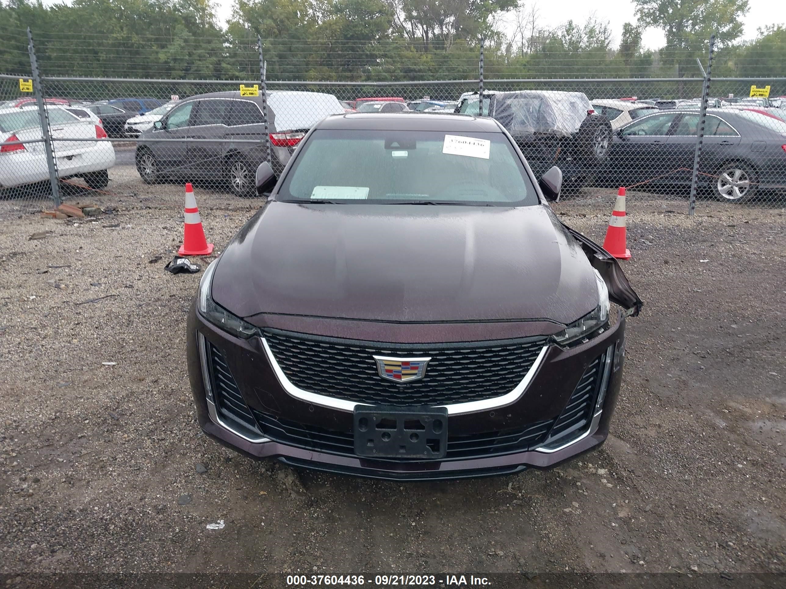 Photo 11 VIN: 1G6DT5RK2L0119072 - CADILLAC CT5 