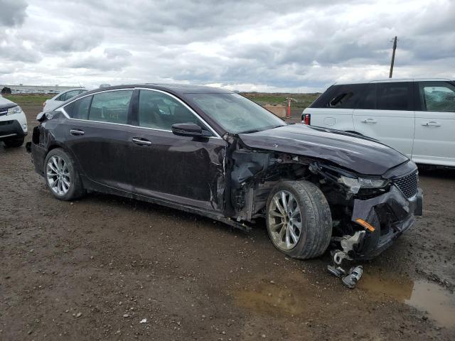 Photo 3 VIN: 1G6DT5RK7L0128009 - CADILLAC CT5 