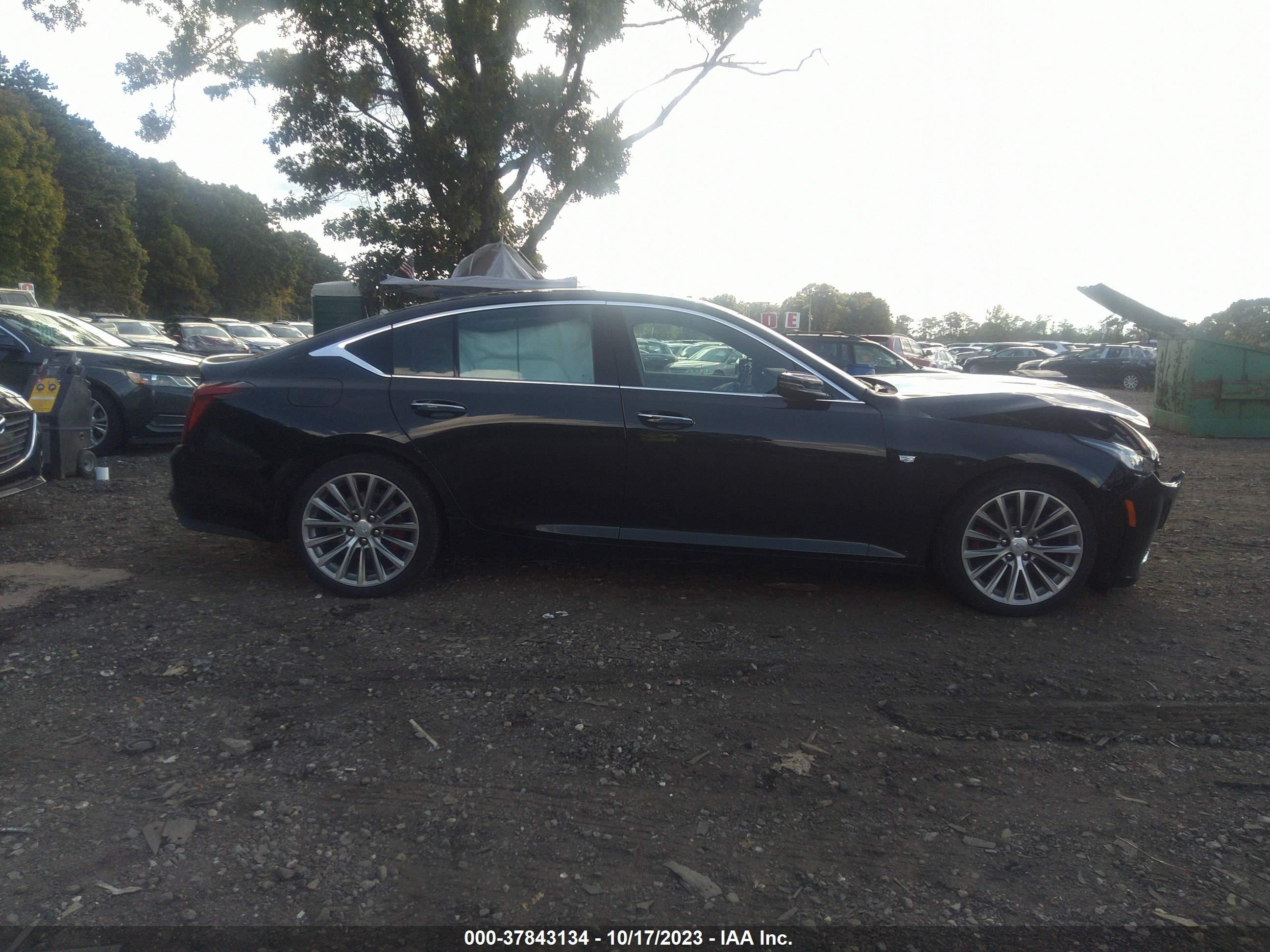 Photo 12 VIN: 1G6DT5RW4M0146827 - CADILLAC CT5 