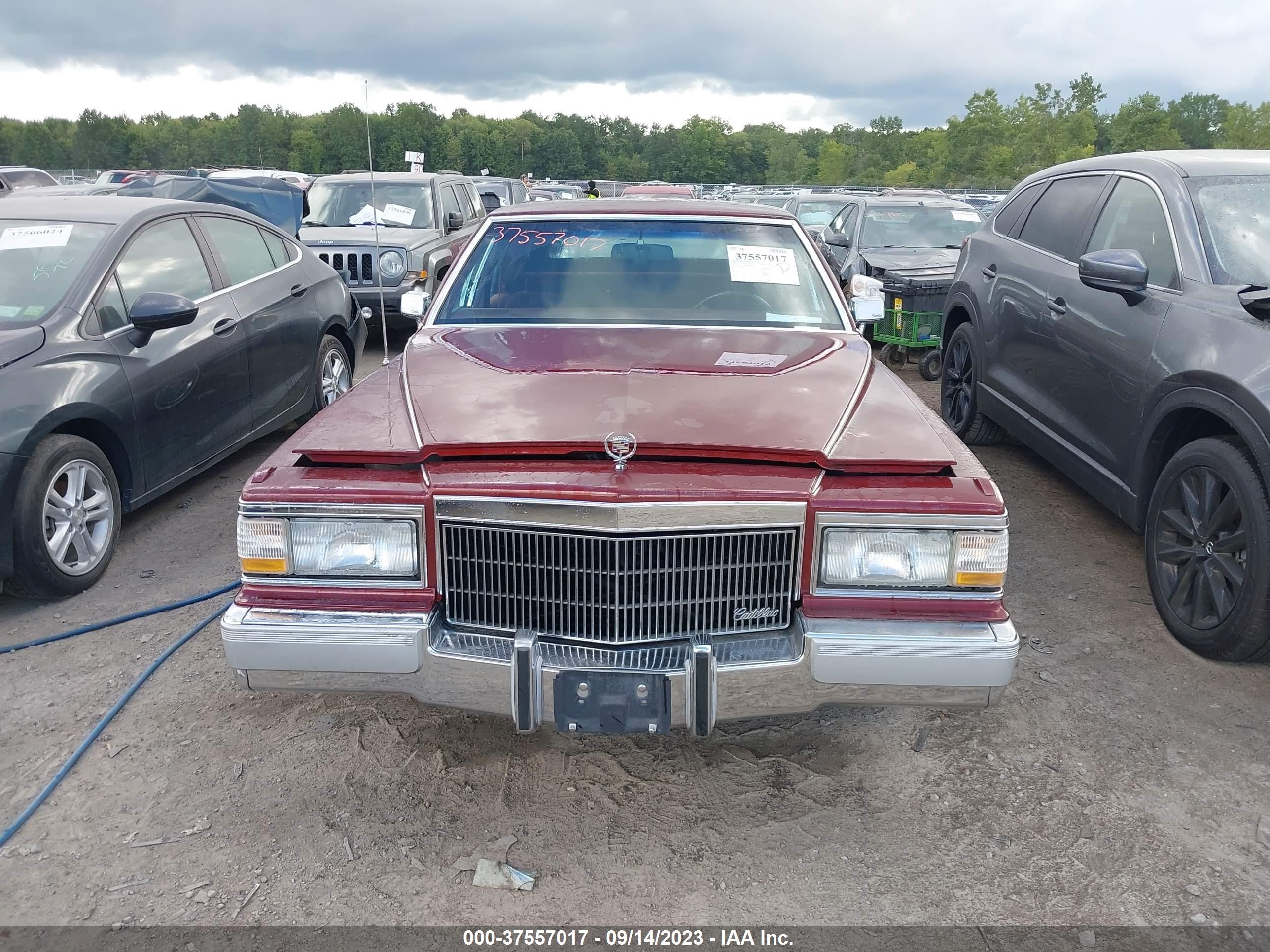 Photo 10 VIN: 1G6DW5474NR712845 - CADILLAC BROUGHAM 