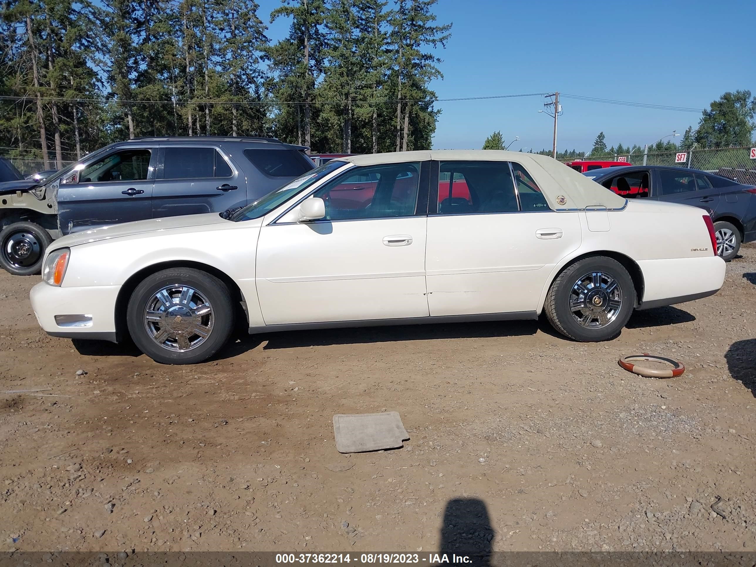 Photo 12 VIN: 1G6KD54Y53U122718 - CADILLAC DE VILLE 