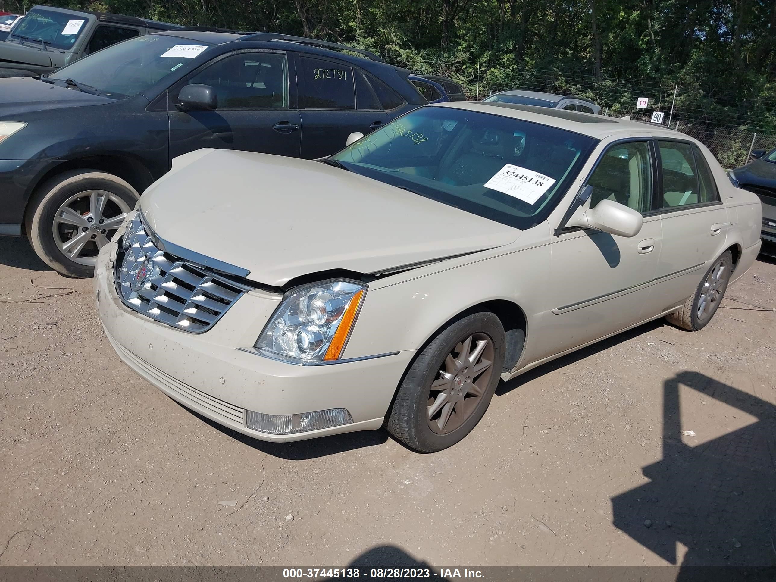 Photo 1 VIN: 1G6KD5E69BU112222 - CADILLAC DTS 