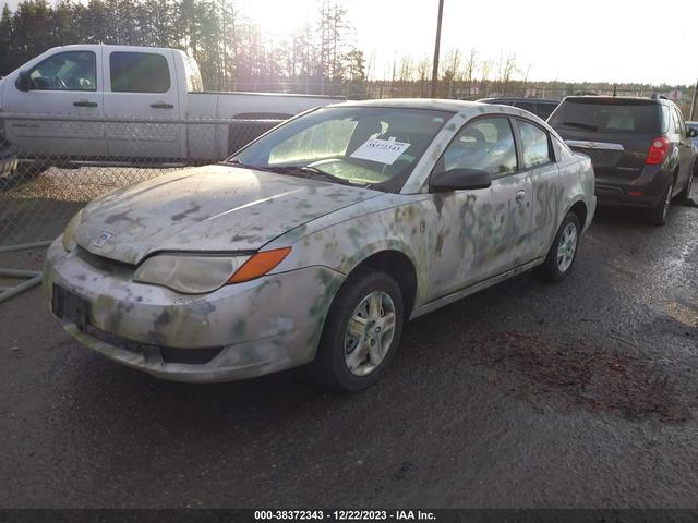 Photo 1 VIN: 1G8AM15F37Z127613 - SATURN ION 