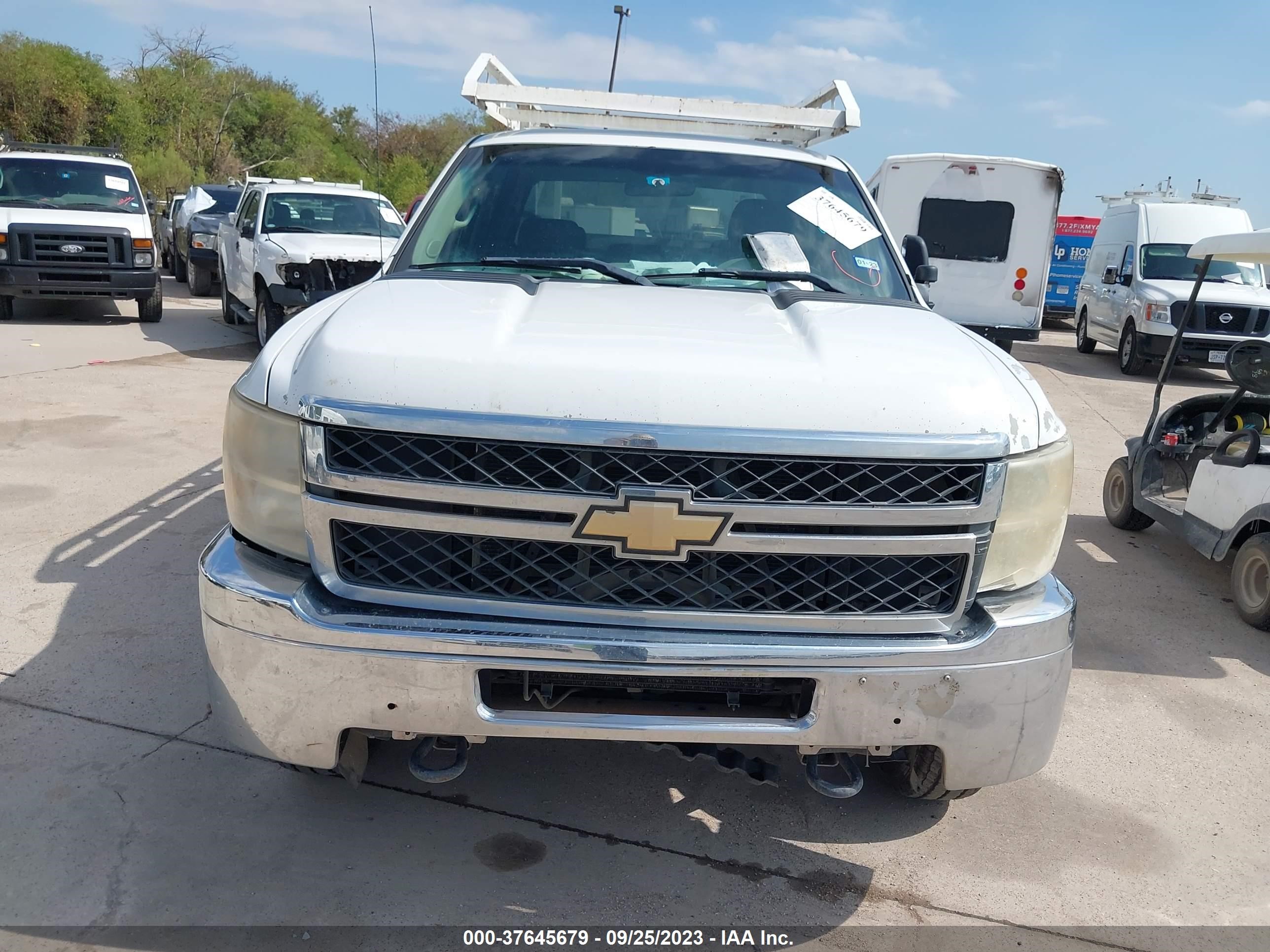 Photo 11 VIN: 1GB1CVCG8BF253234 - CHEVROLET SILVERADO 