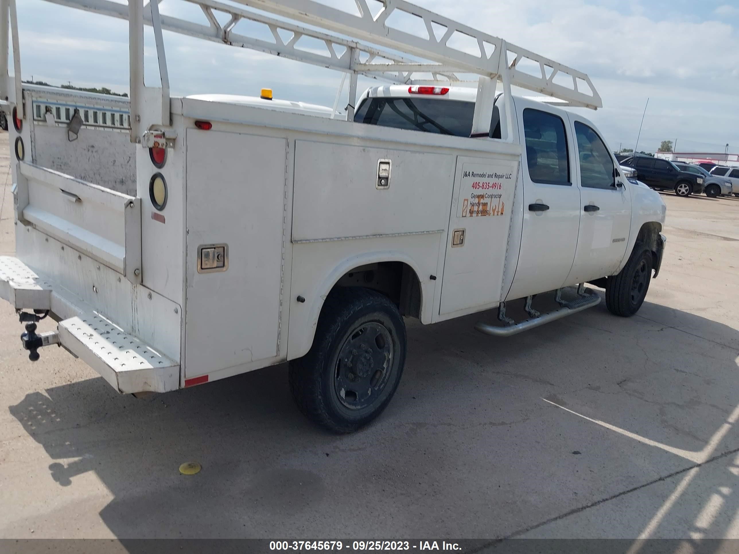 Photo 3 VIN: 1GB1CVCG8BF253234 - CHEVROLET SILVERADO 