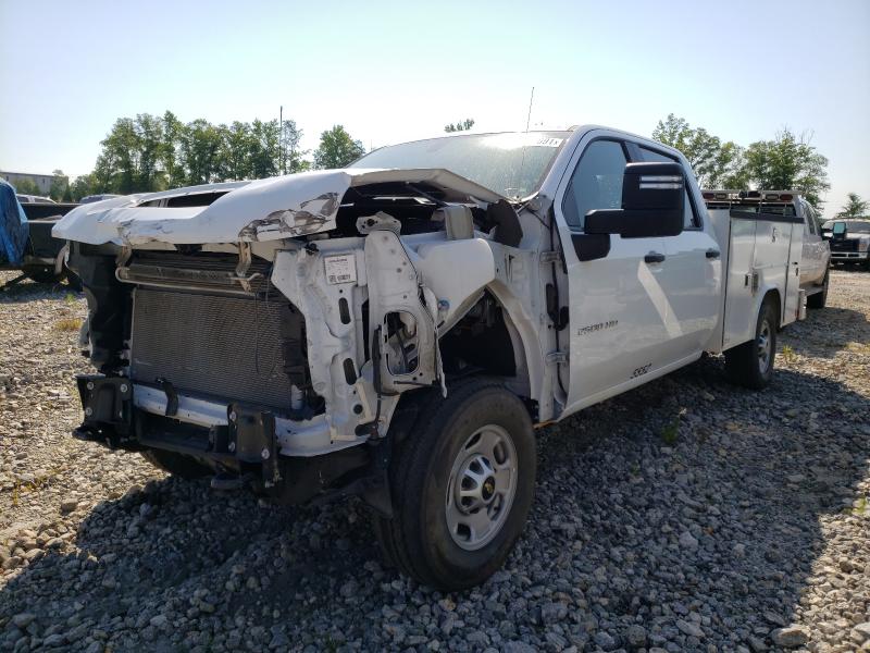 Photo 1 VIN: 1GB1YLE7XLF265552 - CHEVROLET SILVERADO 