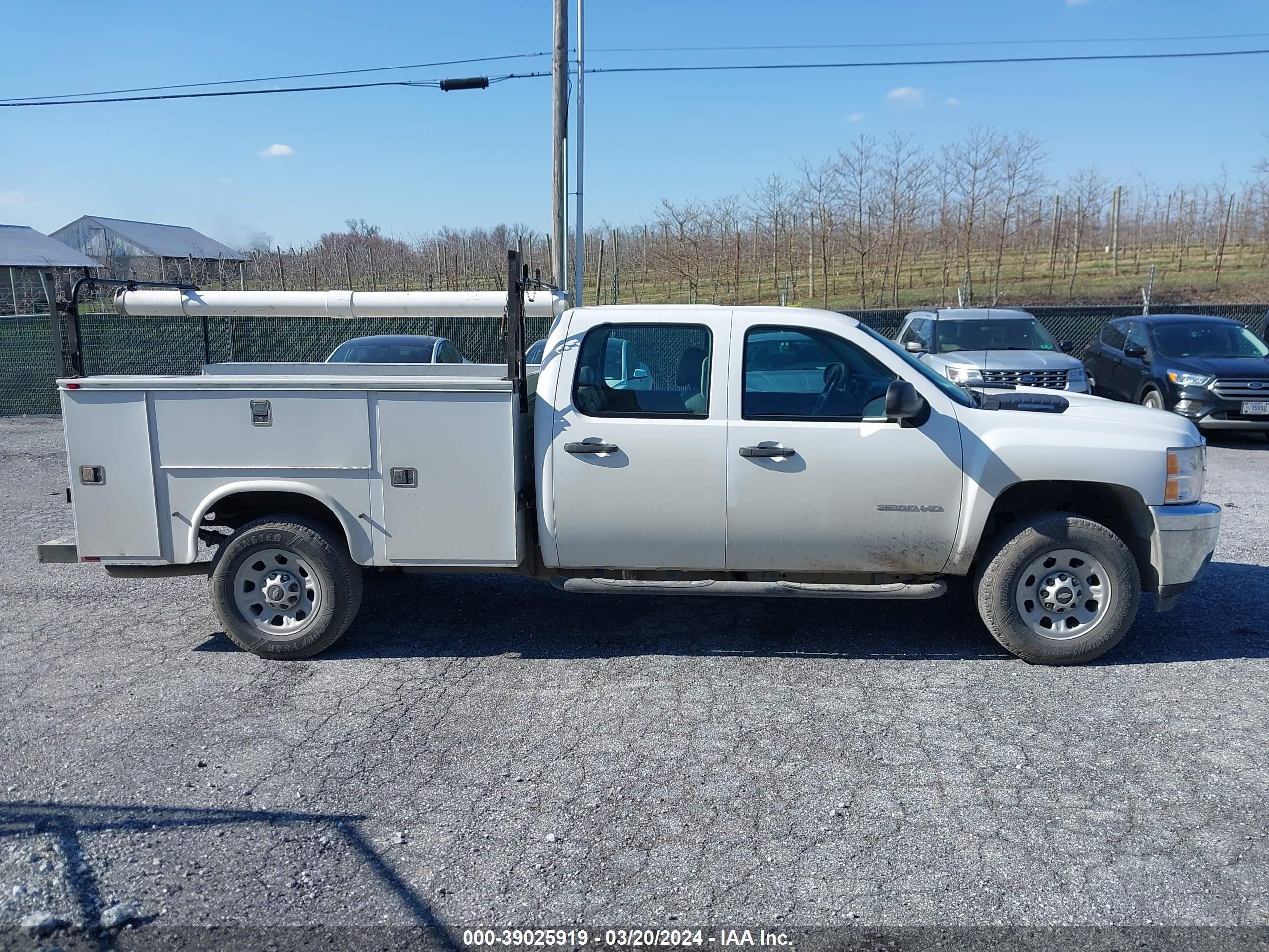 Photo 12 VIN: 1GB4CZCG5EF110296 - CHEVROLET SILVERADO 