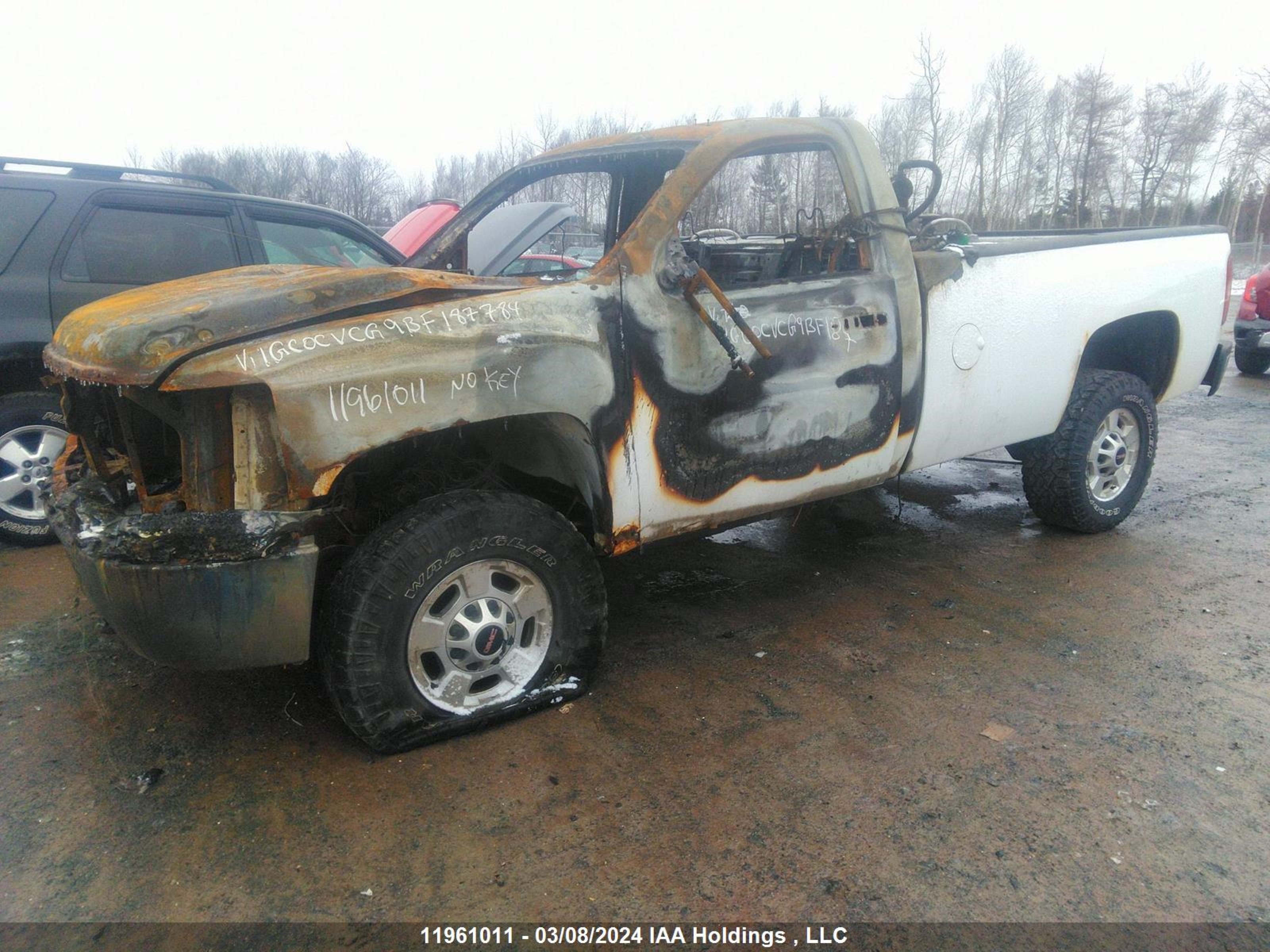 Photo 1 VIN: 1GC0CVCG9BF187784 - CHEVROLET SILVERADO 