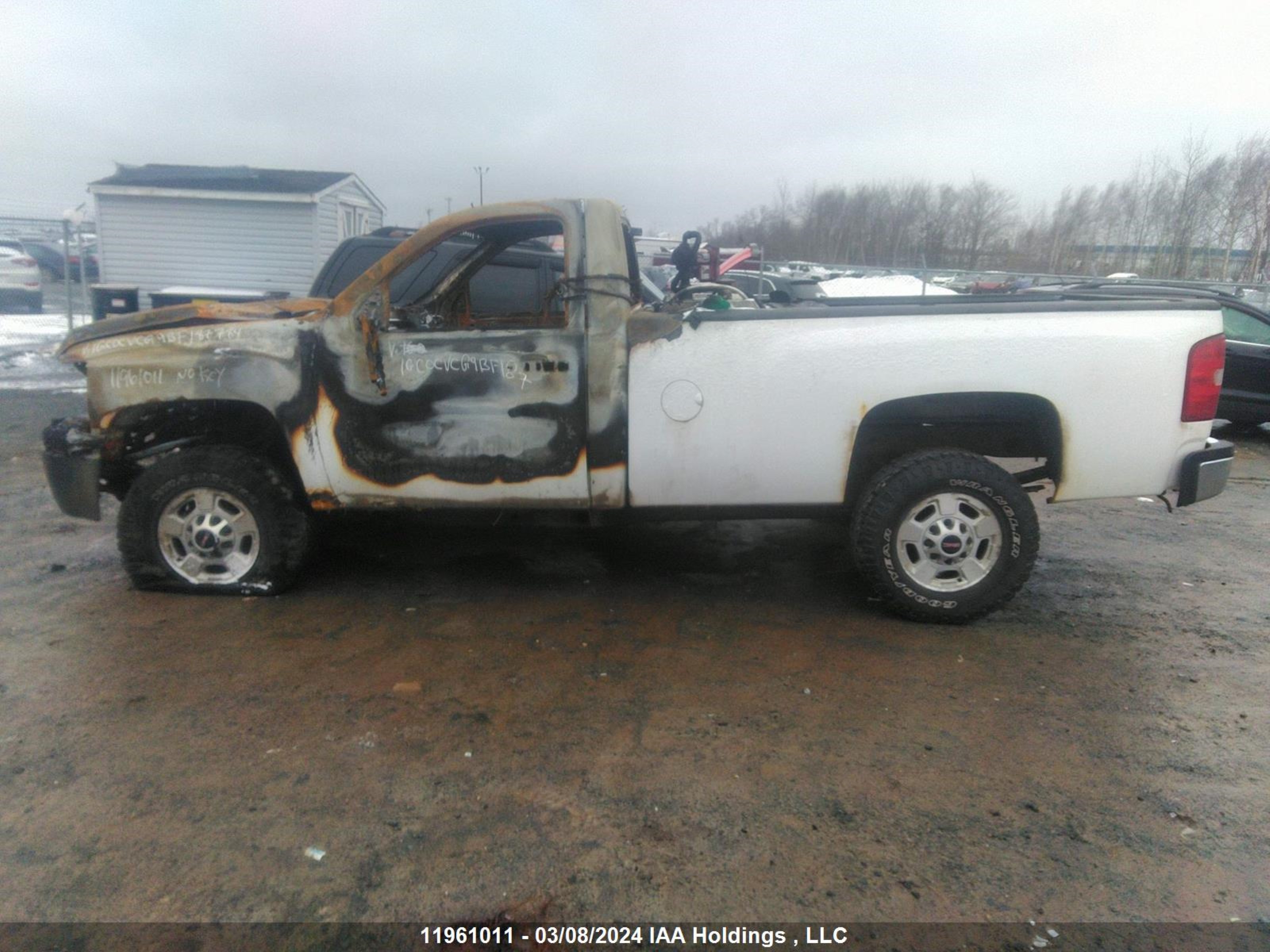 Photo 14 VIN: 1GC0CVCG9BF187784 - CHEVROLET SILVERADO 