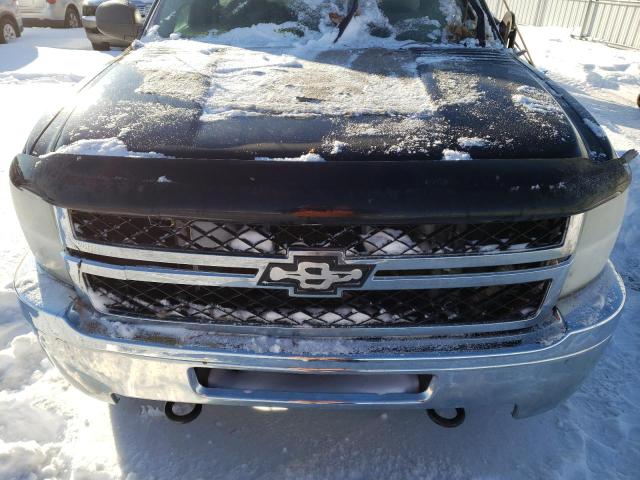 Photo 10 VIN: 1GC0KXCG6BF175820 - CHEVROLET SILVERADO 