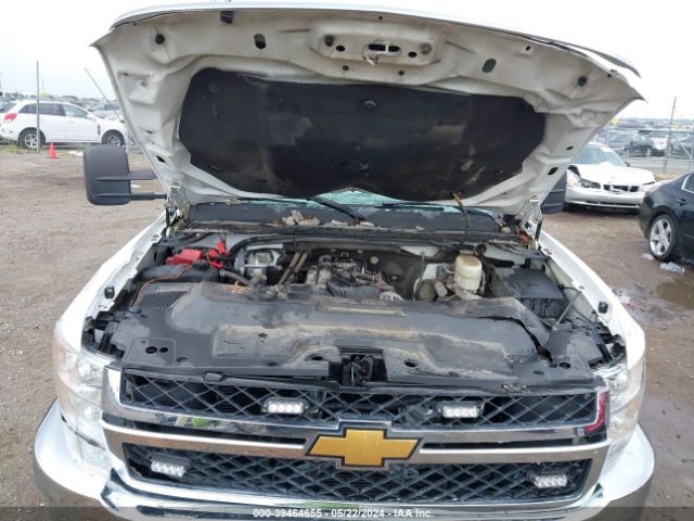 Photo 9 VIN: 1GC1CVCG1EF171748 - CHEVROLET SILVERADO 2500HD 