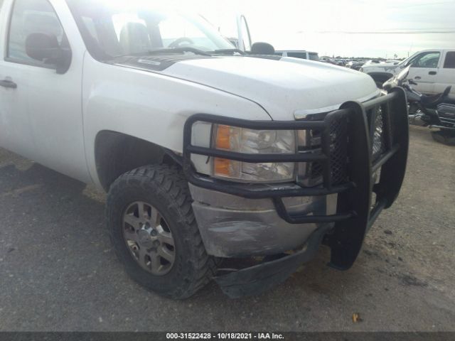 Photo 5 VIN: 1GC1KVCG4DF124005 - CHEVROLET SILVERADO 2500HD 