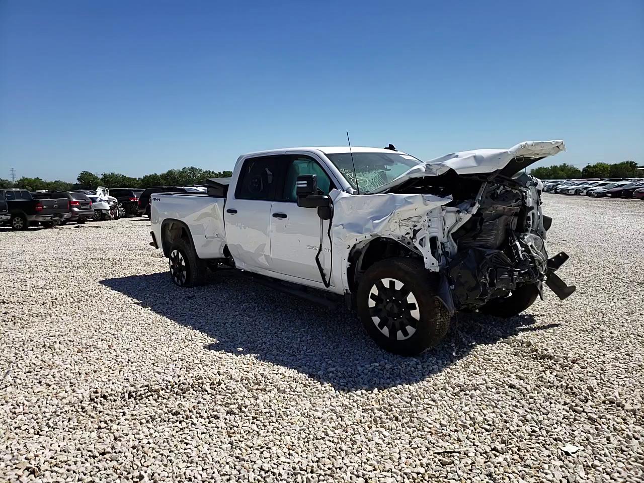 Photo 10 VIN: 1GC4YME78LF154495 - CHEVROLET SILVERADO 