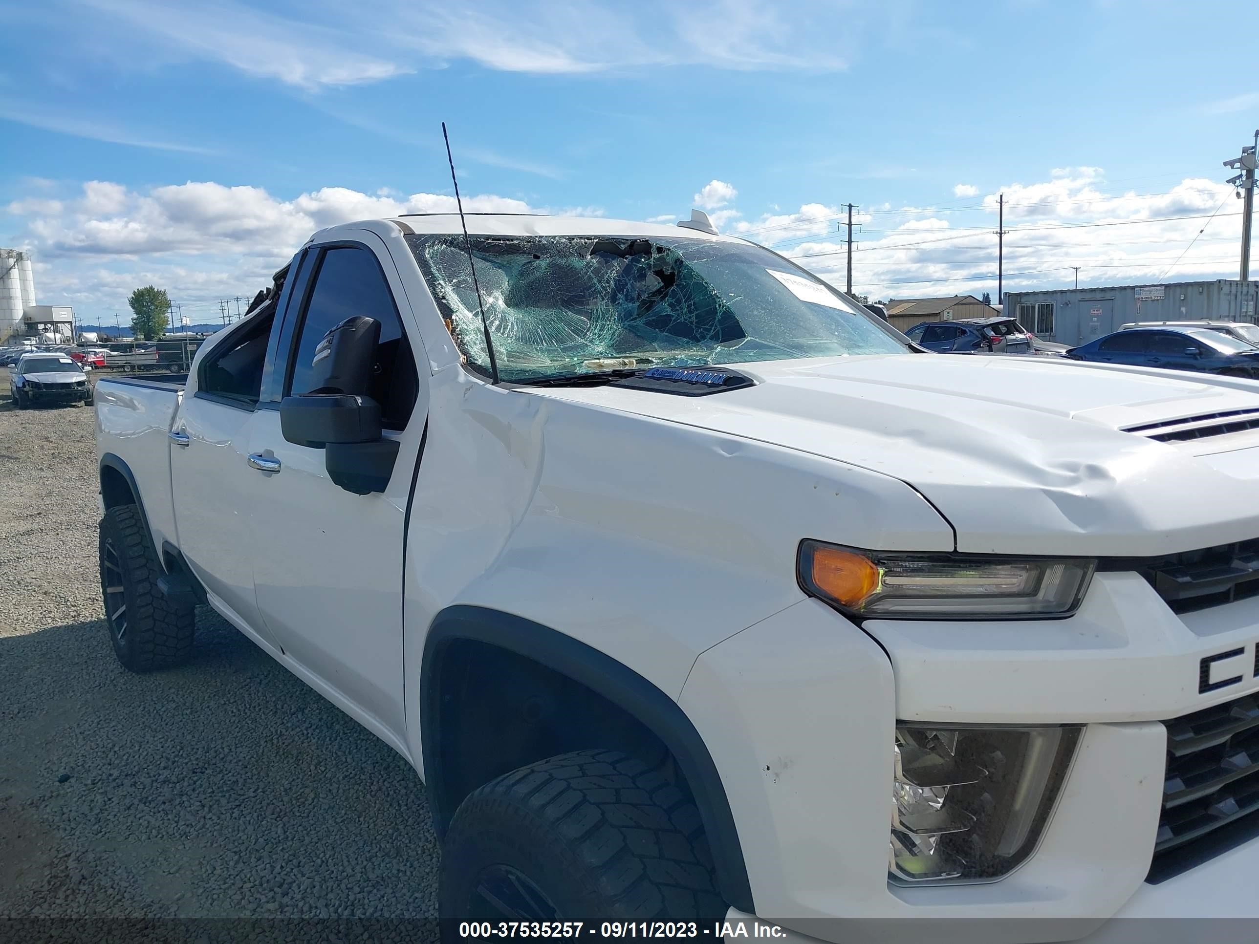 Photo 11 VIN: 1GC4YPEY6LF310611 - CHEVROLET SILVERADO 