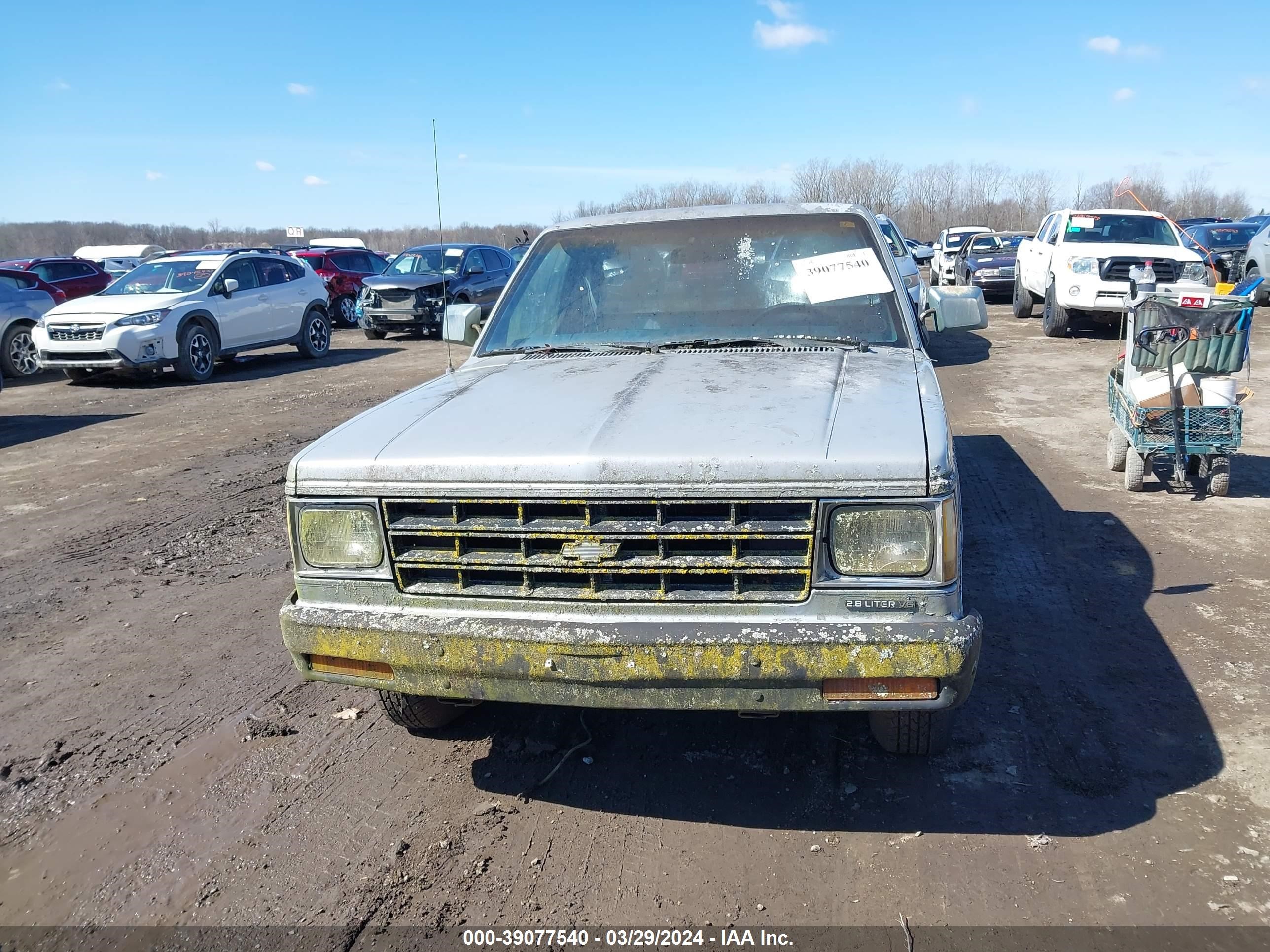 Photo 5 VIN: 1GCCS14B7F2195262 - CHEVROLET S-10 PICKUP 