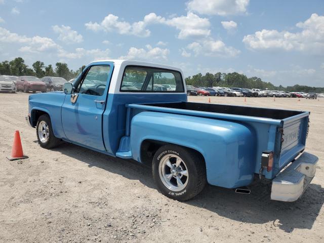 Photo 1 VIN: 1GCDC14H2DJ131039 - CHEVROLET C10 