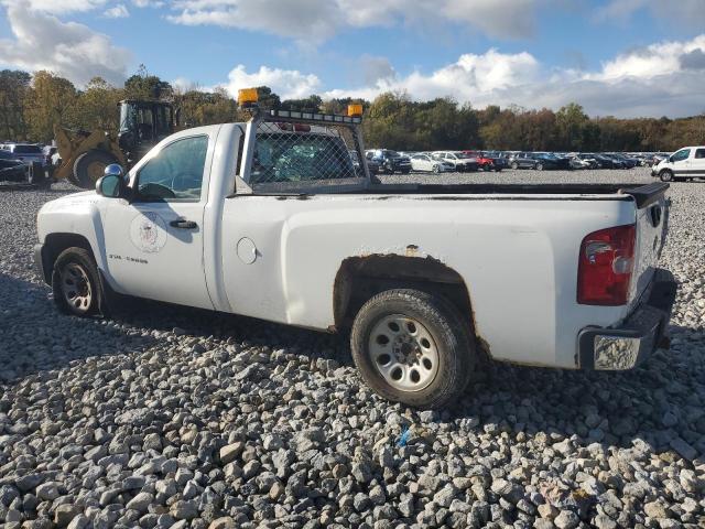 Photo 1 VIN: 1GCEC14J87E579287 - CHEVROLET SILVERADO 