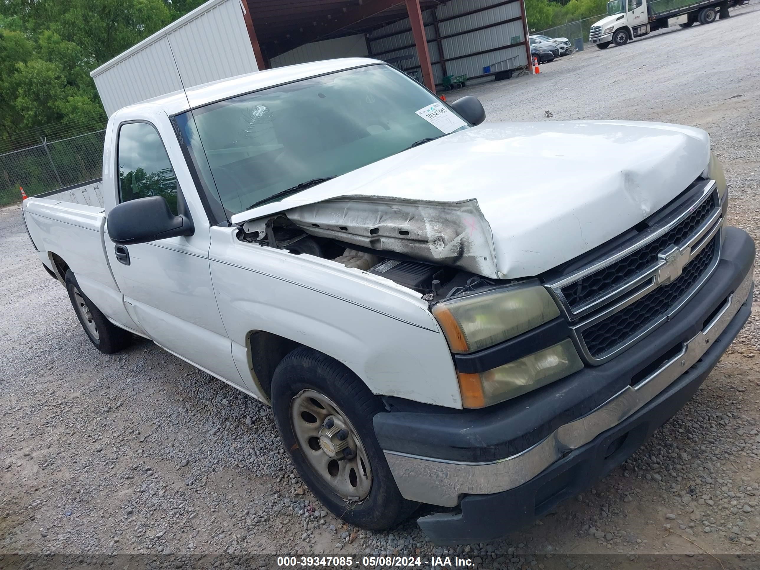 Photo 0 VIN: 1GCEC14V86E149633 - CHEVROLET SILVERADO 