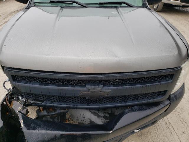 Photo 10 VIN: 1GCEC14X18Z305797 - CHEVROLET SILVERADO 