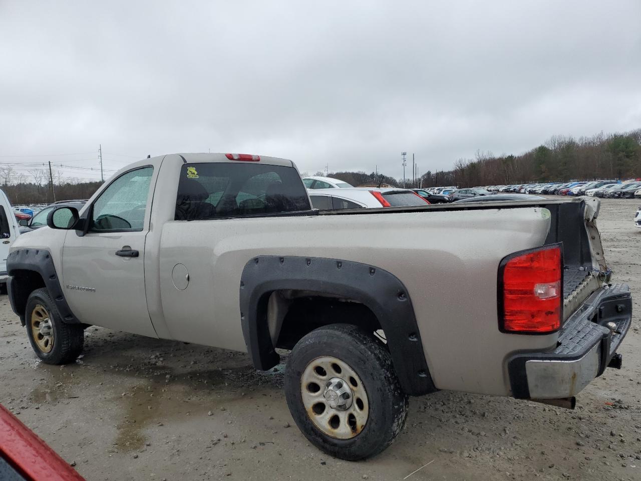 Photo 1 VIN: 1GCEC14X49Z158229 - CHEVROLET SILVERADO 