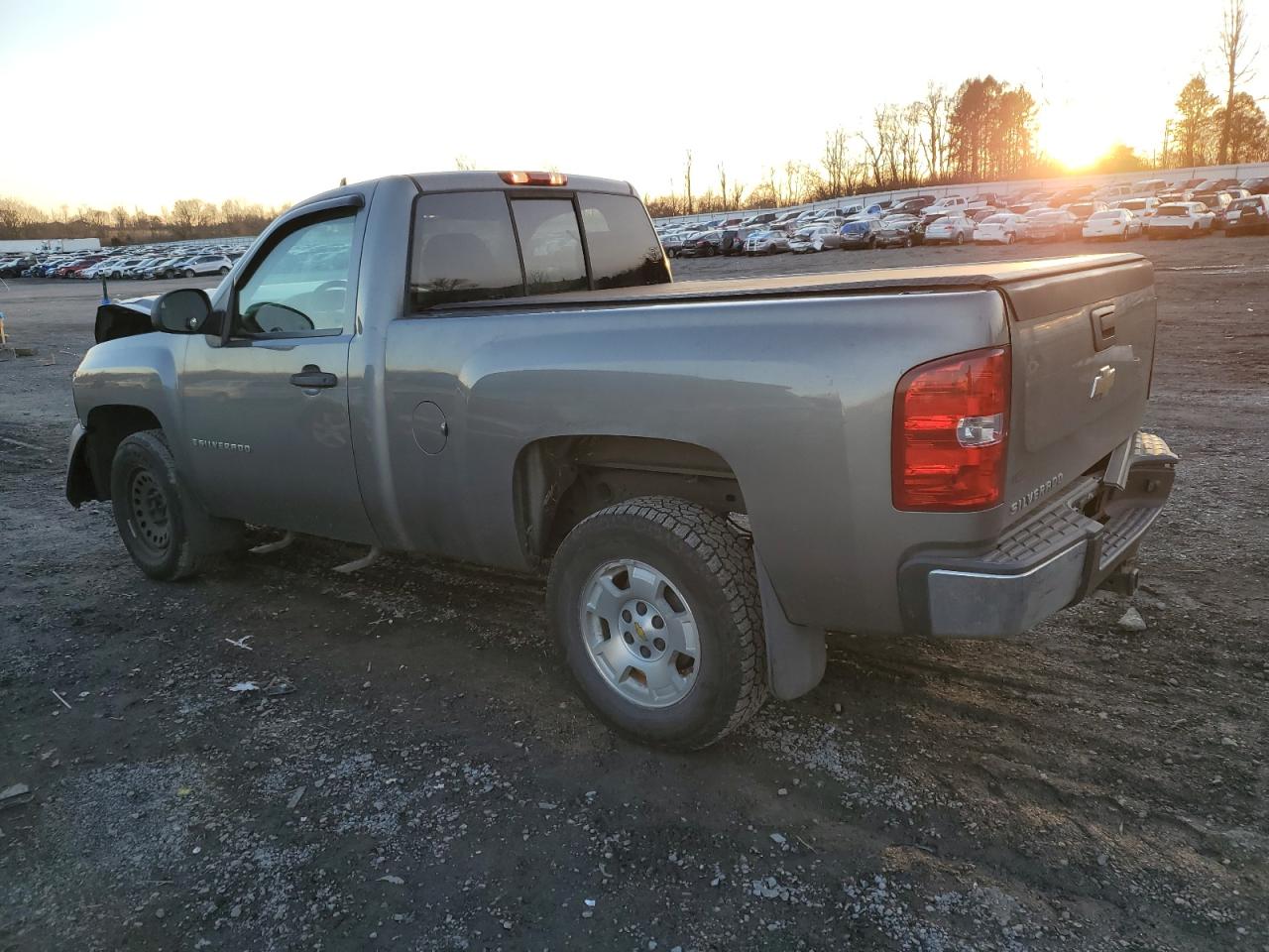 Photo 1 VIN: 1GCEC14X77Z649083 - CHEVROLET SILVERADO 