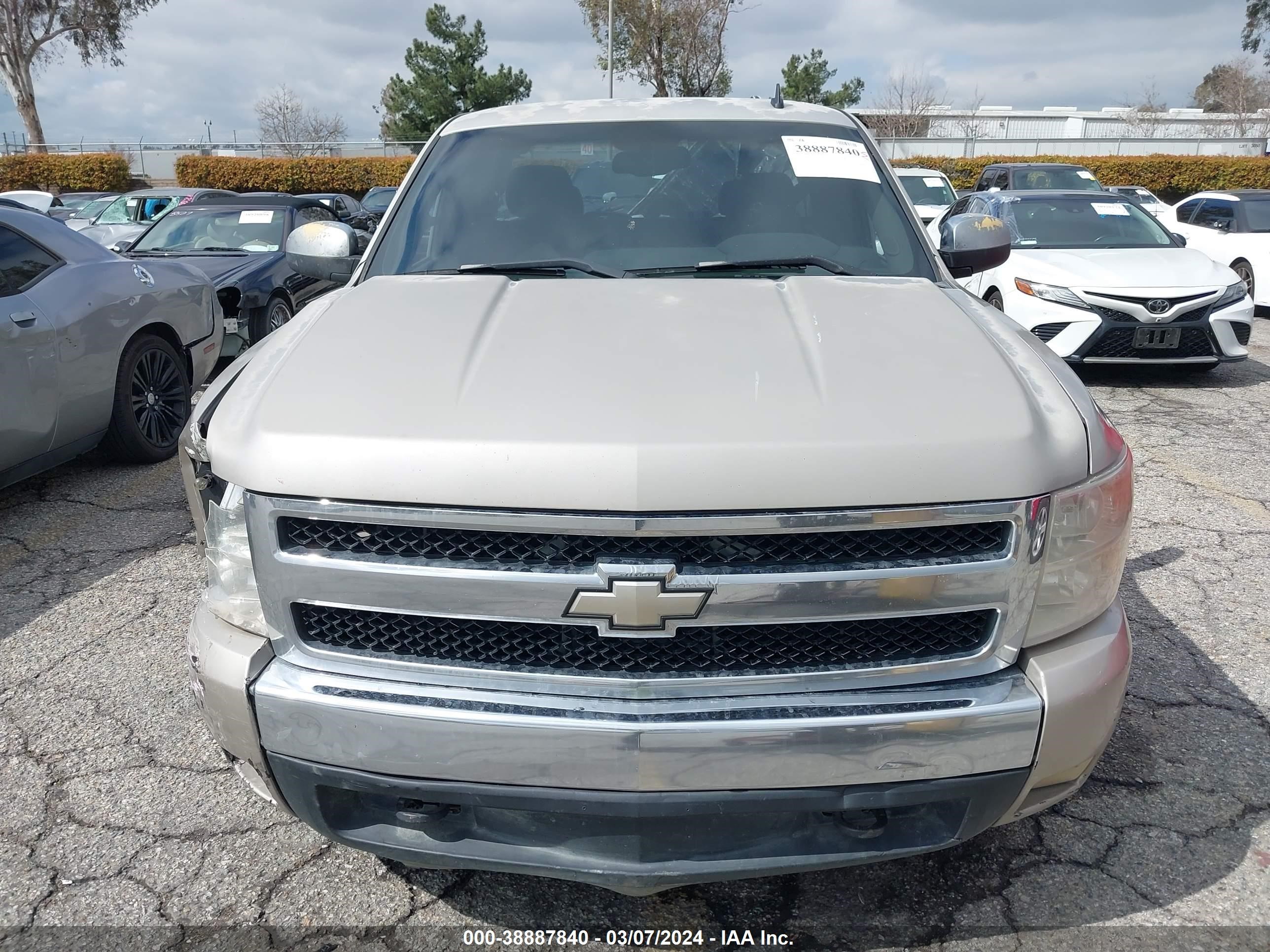 Photo 11 VIN: 1GCEC19J28Z229382 - CHEVROLET SILVERADO 