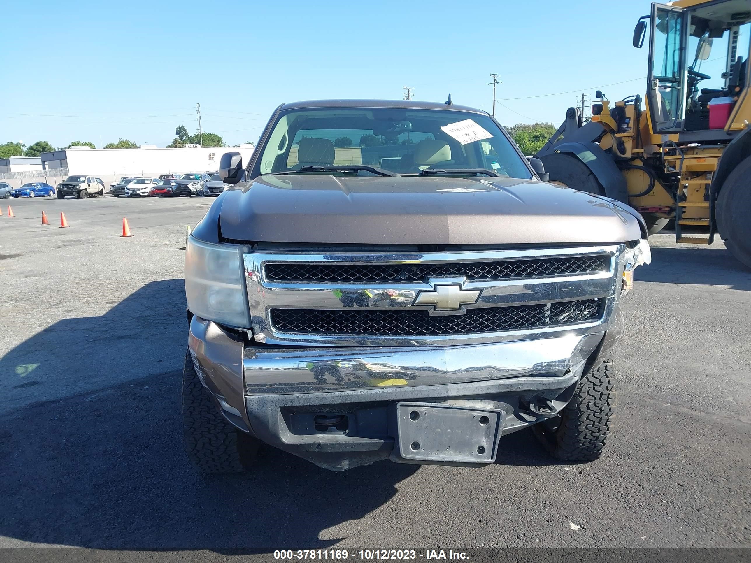 Photo 11 VIN: 1GCEC19J87Z538756 - CHEVROLET SILVERADO 