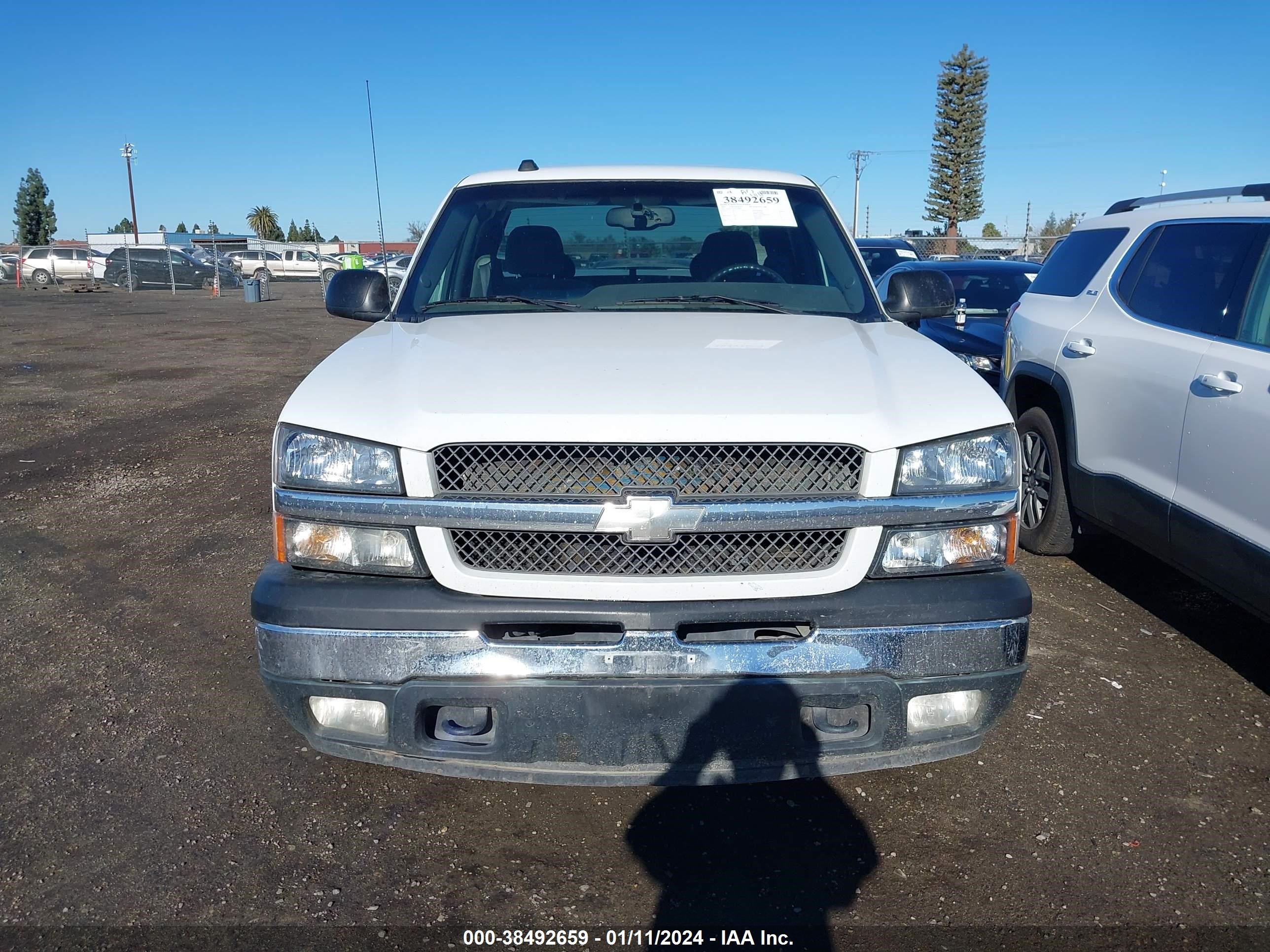 Photo 11 VIN: 1GCEC19T65Z130903 - CHEVROLET SILVERADO 