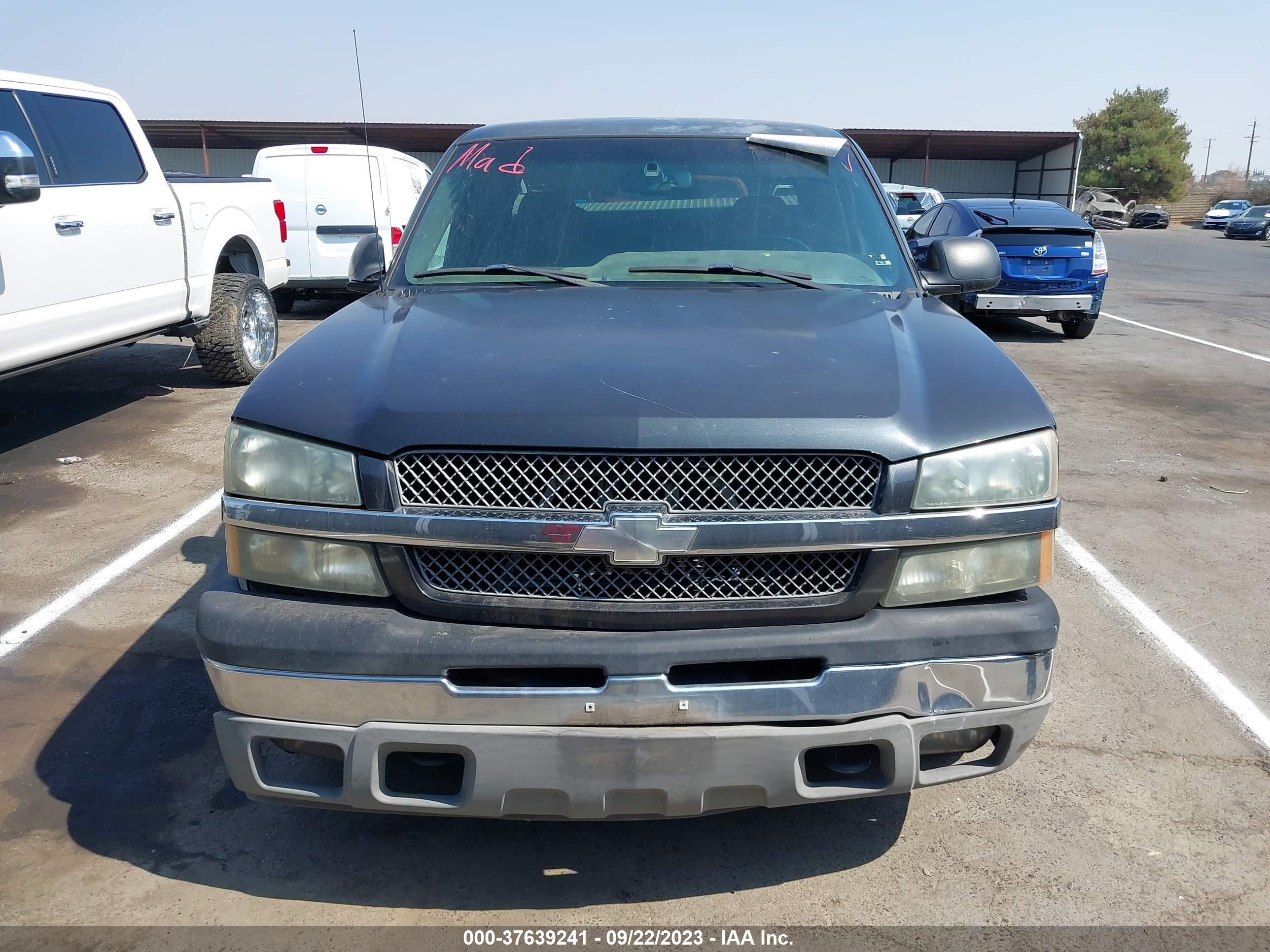 Photo 11 VIN: 1GCEC19T73E331701 - CHEVROLET SILVERADO 