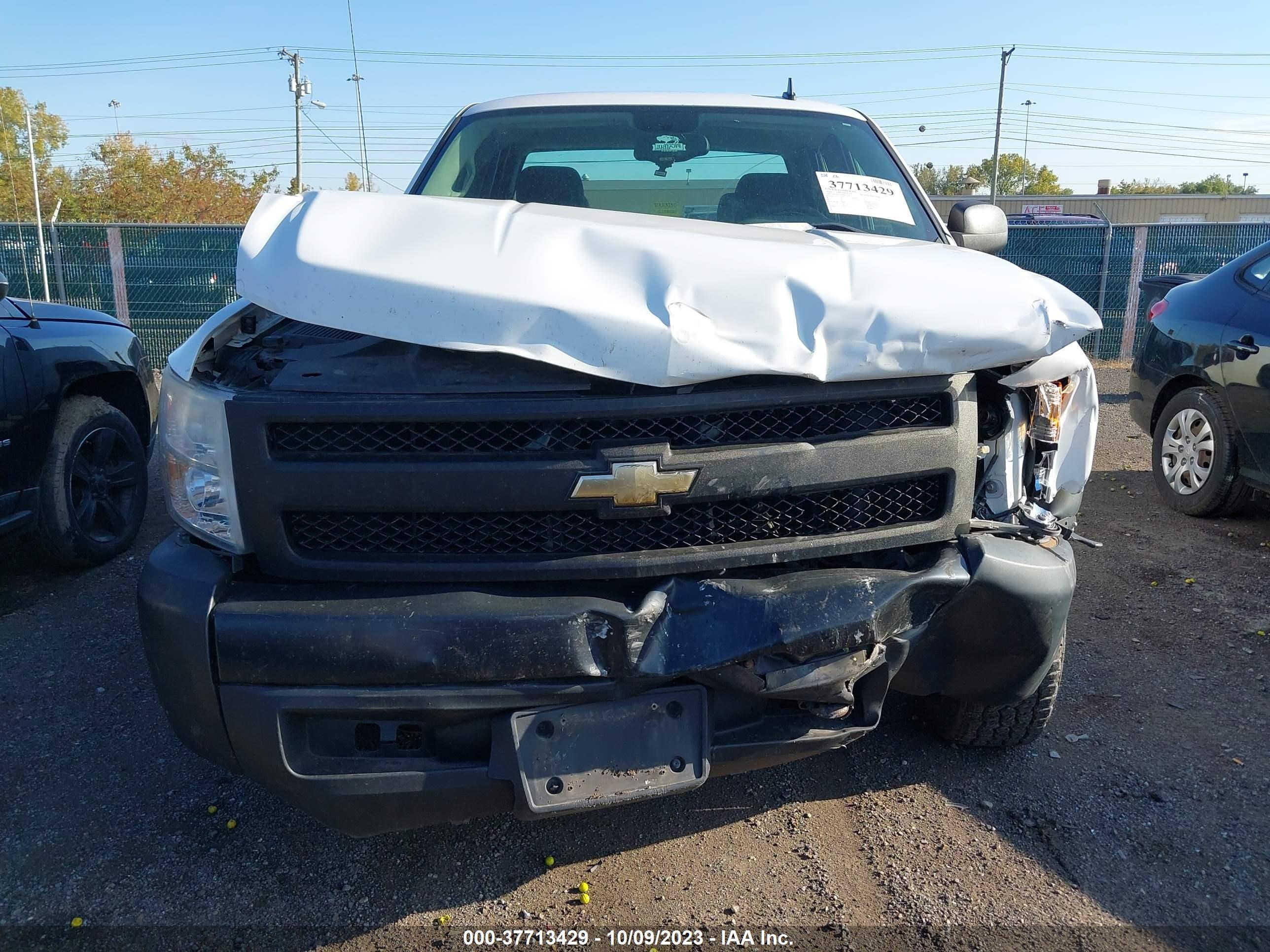 Photo 11 VIN: 1GCEC19X98Z225947 - CHEVROLET SILVERADO 