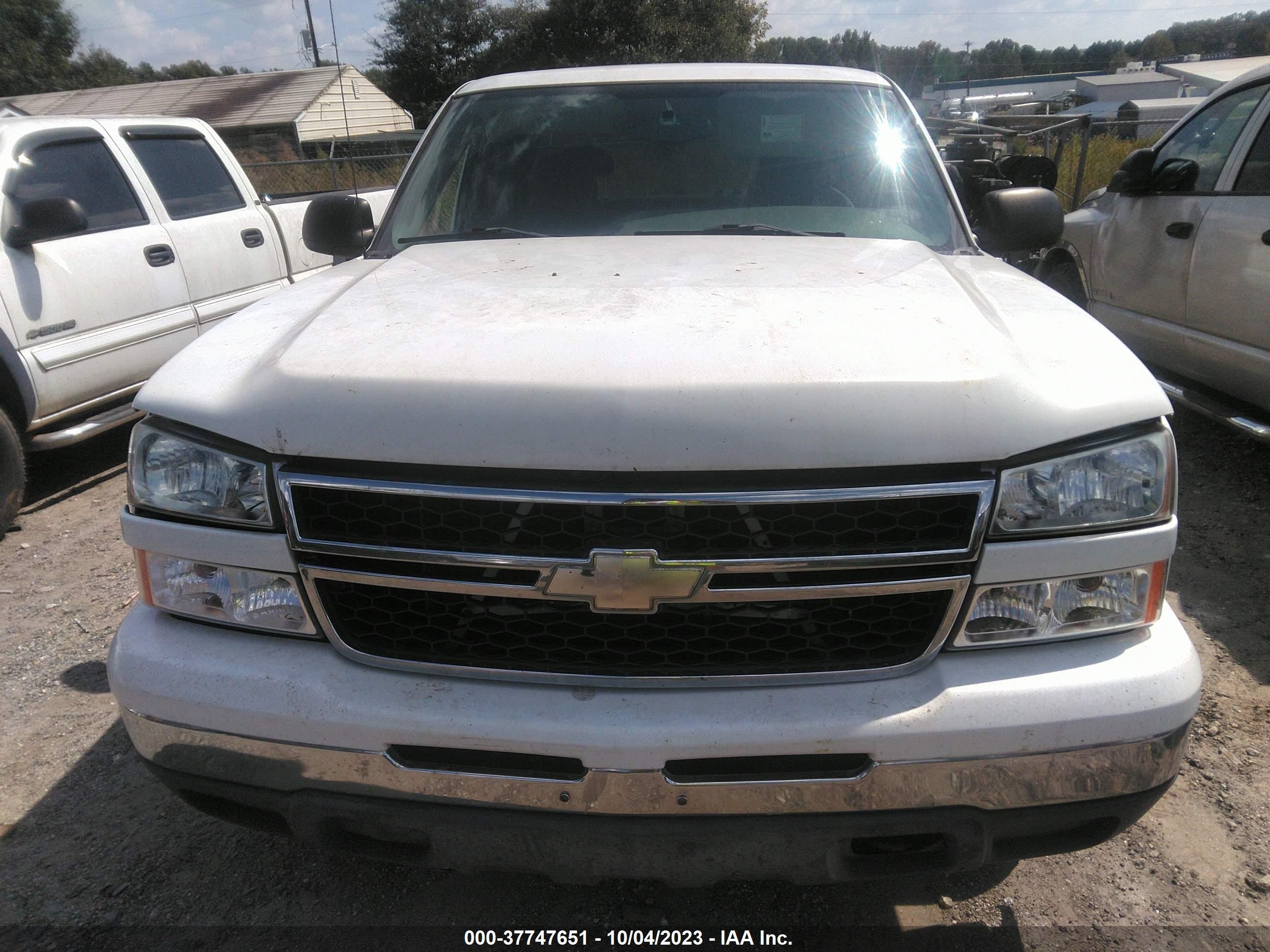 Photo 5 VIN: 1GCEC19Z87Z127346 - CHEVROLET SILVERADO 