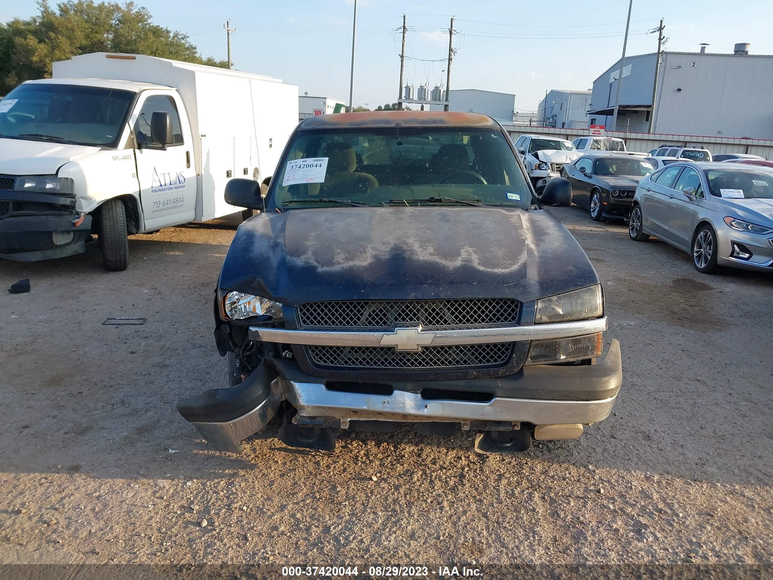 Photo 12 VIN: 1GCEC19Z95Z194292 - CHEVROLET SILVERADO 