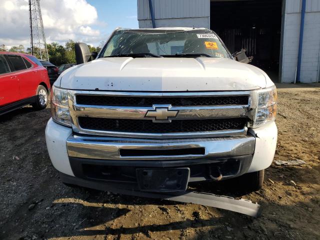 Photo 4 VIN: 1GCEC29J19Z183471 - CHEVROLET SILVERADO 