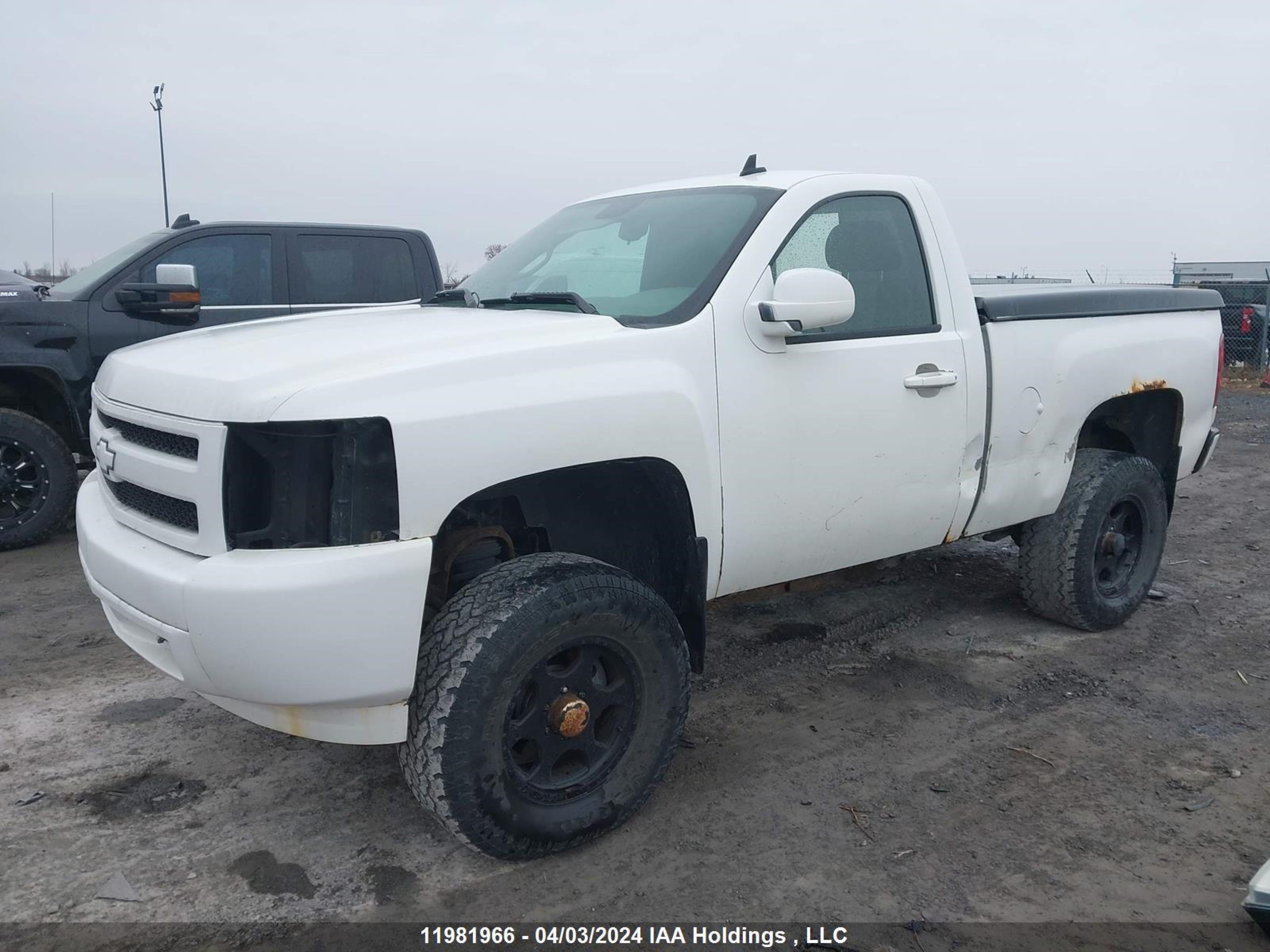 Photo 1 VIN: 1GCEK14J67Z583351 - CHEVROLET SILVERADO 