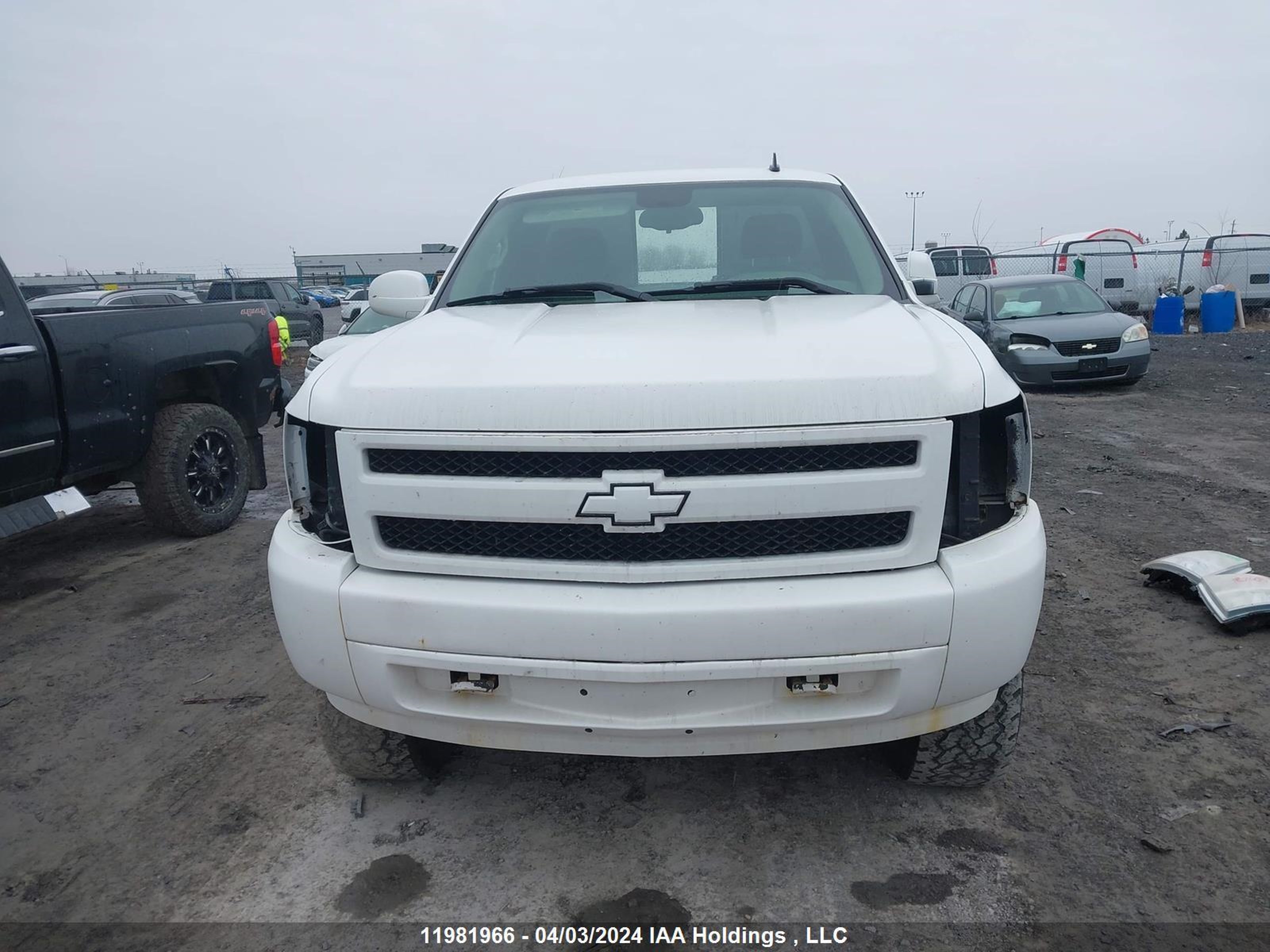 Photo 12 VIN: 1GCEK14J67Z583351 - CHEVROLET SILVERADO 