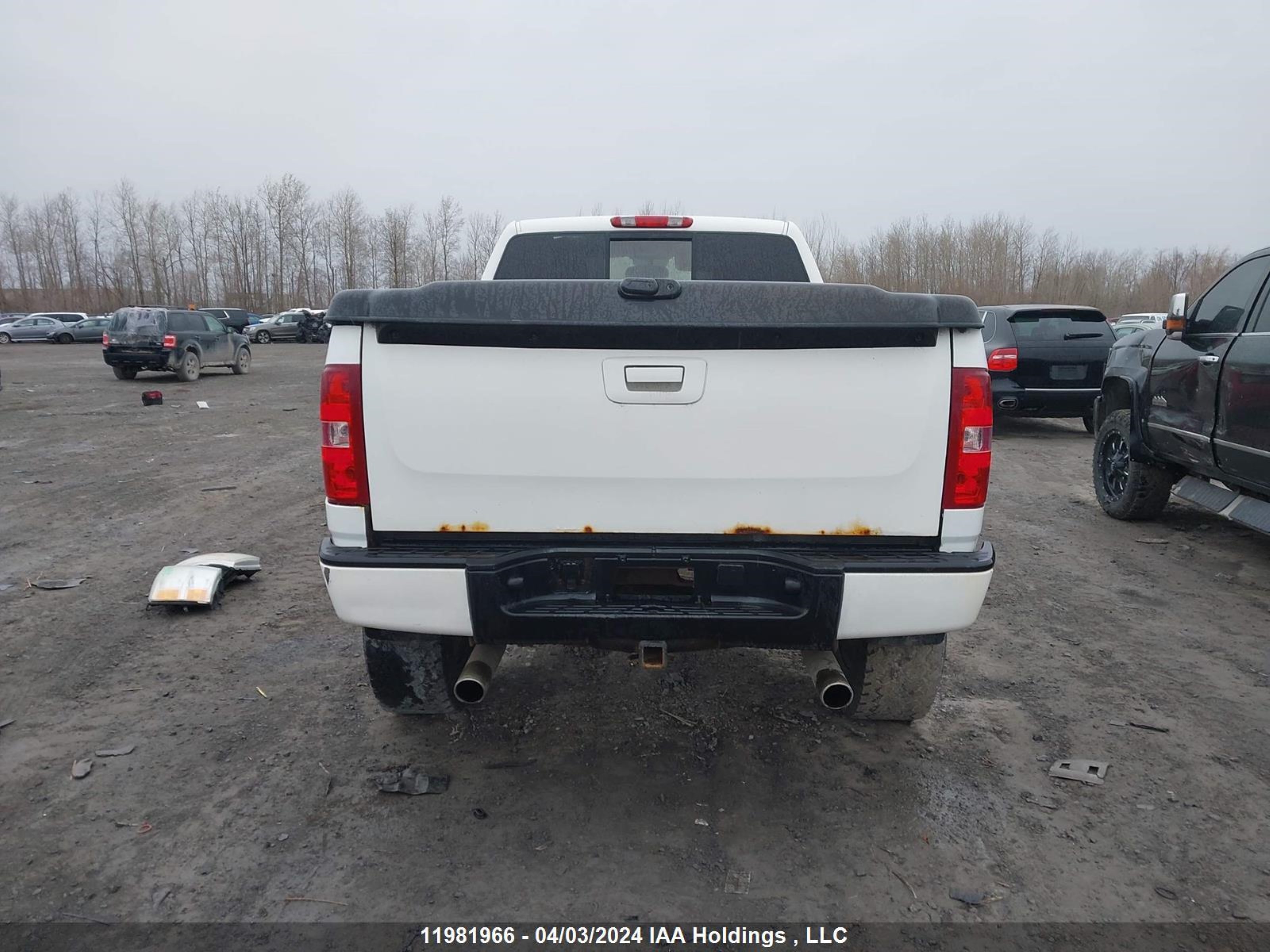 Photo 16 VIN: 1GCEK14J67Z583351 - CHEVROLET SILVERADO 