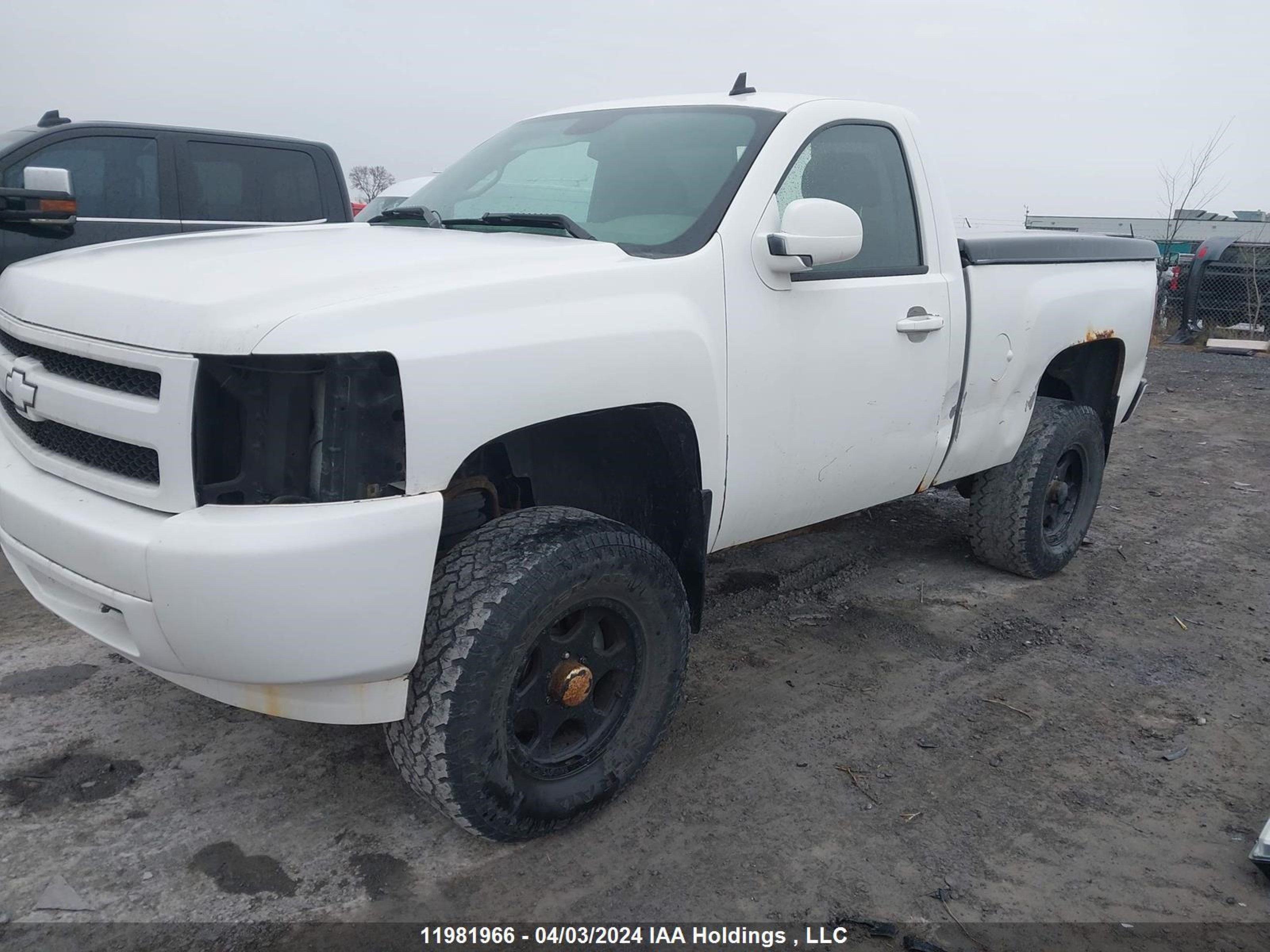 Photo 5 VIN: 1GCEK14J67Z583351 - CHEVROLET SILVERADO 