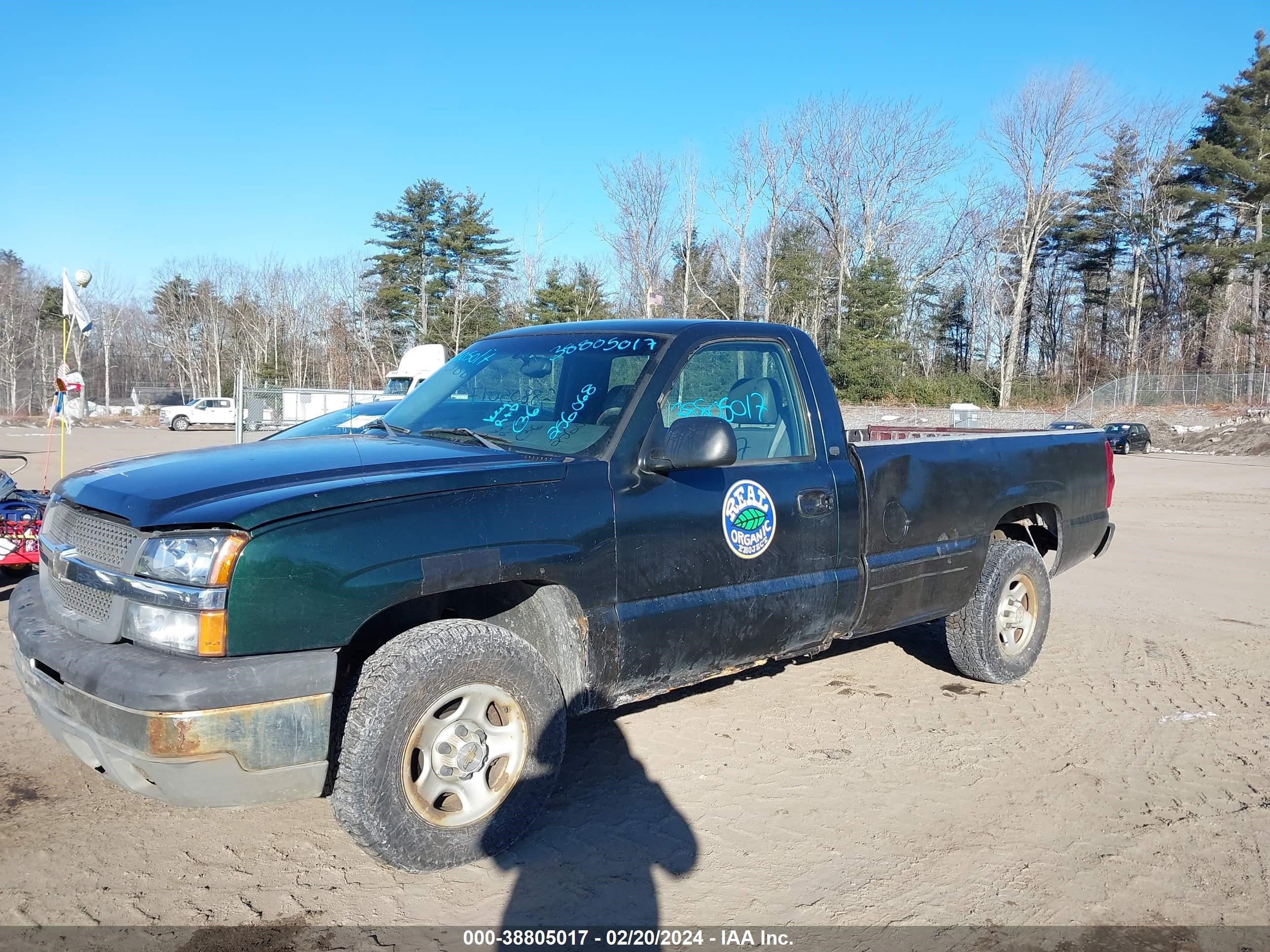 Photo 11 VIN: 1GCEK14V03E308059 - CHEVROLET SILVERADO 