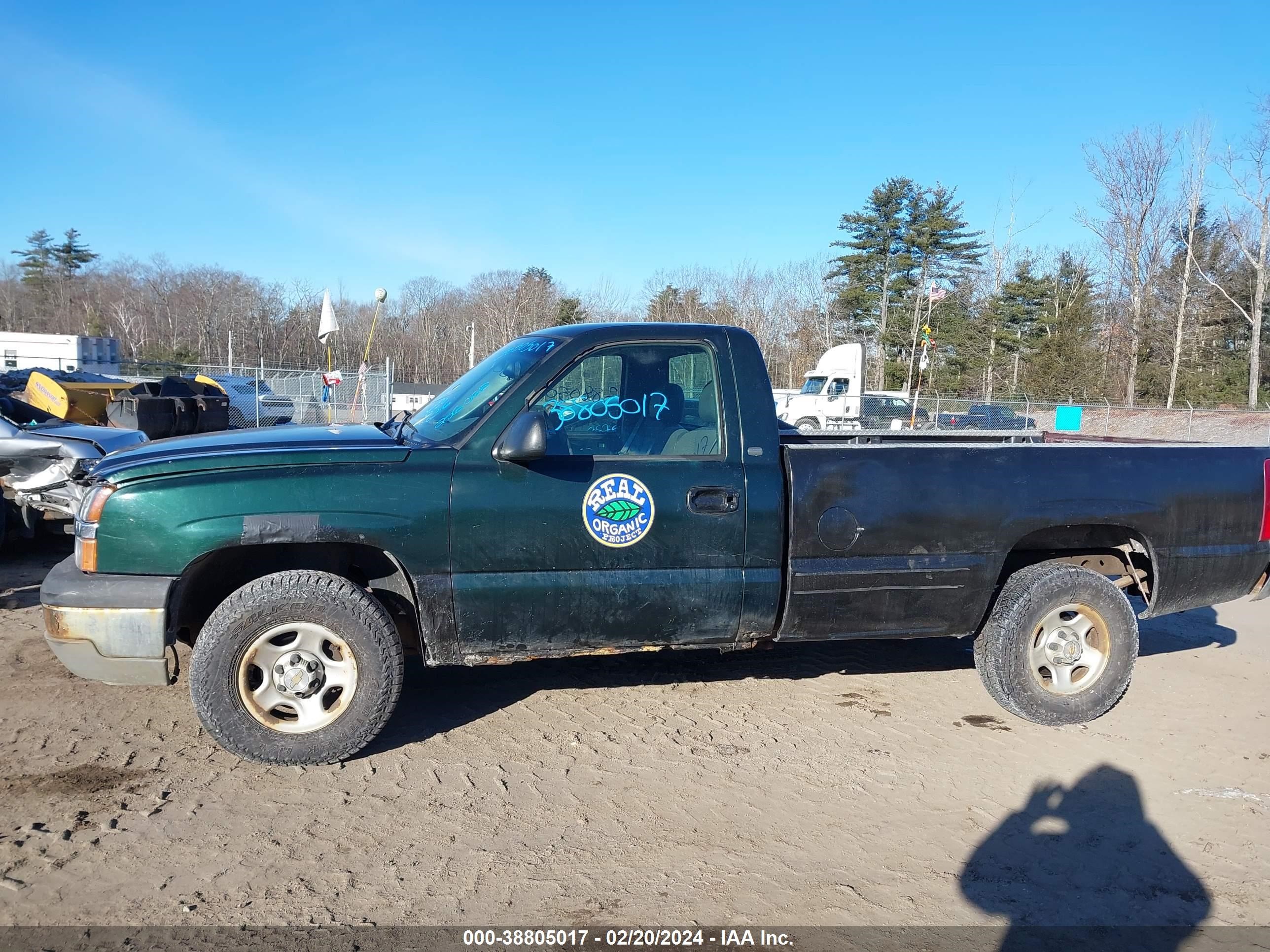 Photo 12 VIN: 1GCEK14V03E308059 - CHEVROLET SILVERADO 