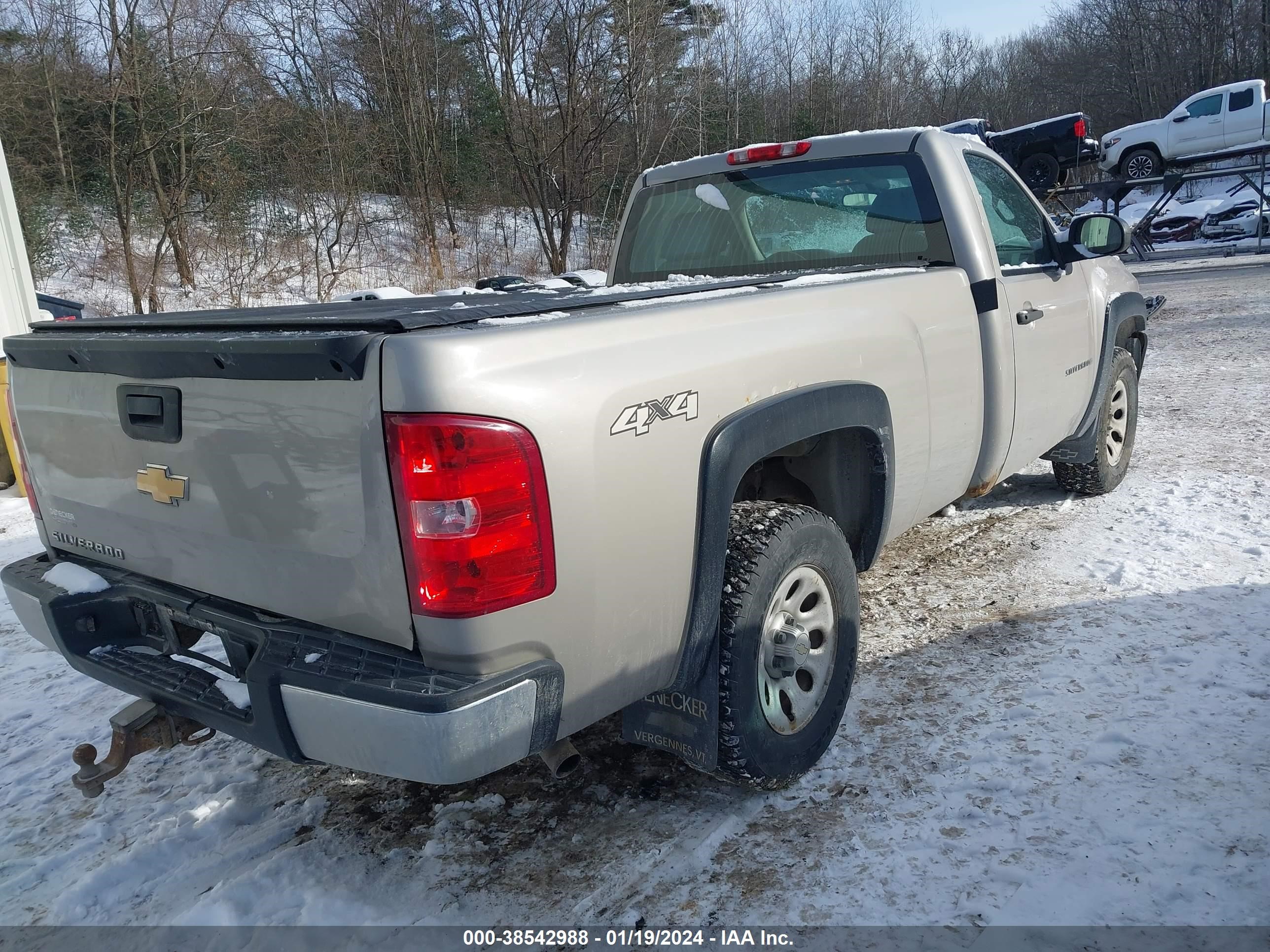 Photo 3 VIN: 1GCEK14X69Z207496 - CHEVROLET SILVERADO 