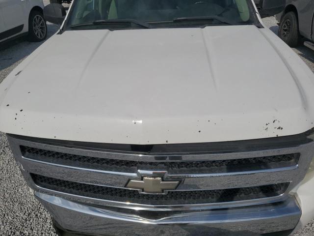 Photo 10 VIN: 1GCEK19007Z626470 - CHEVROLET SILVERADO 